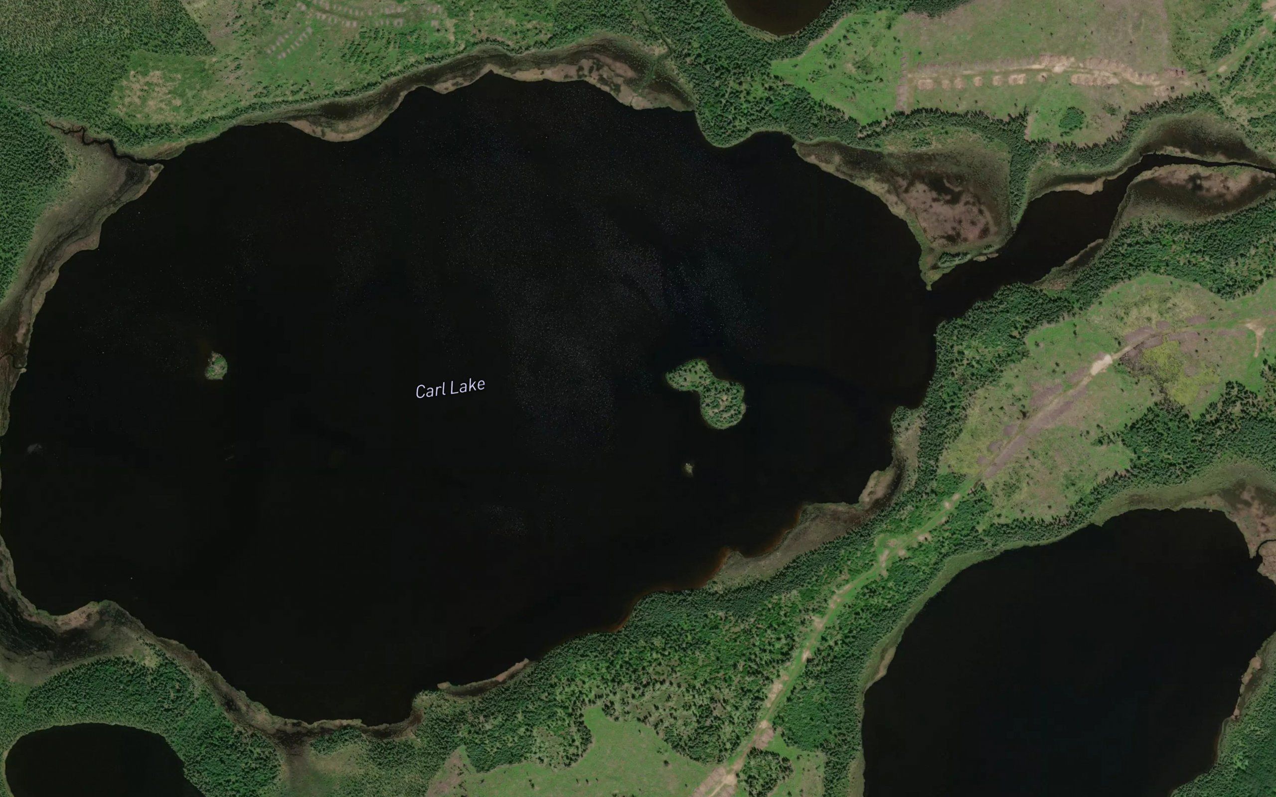 Carl Lake