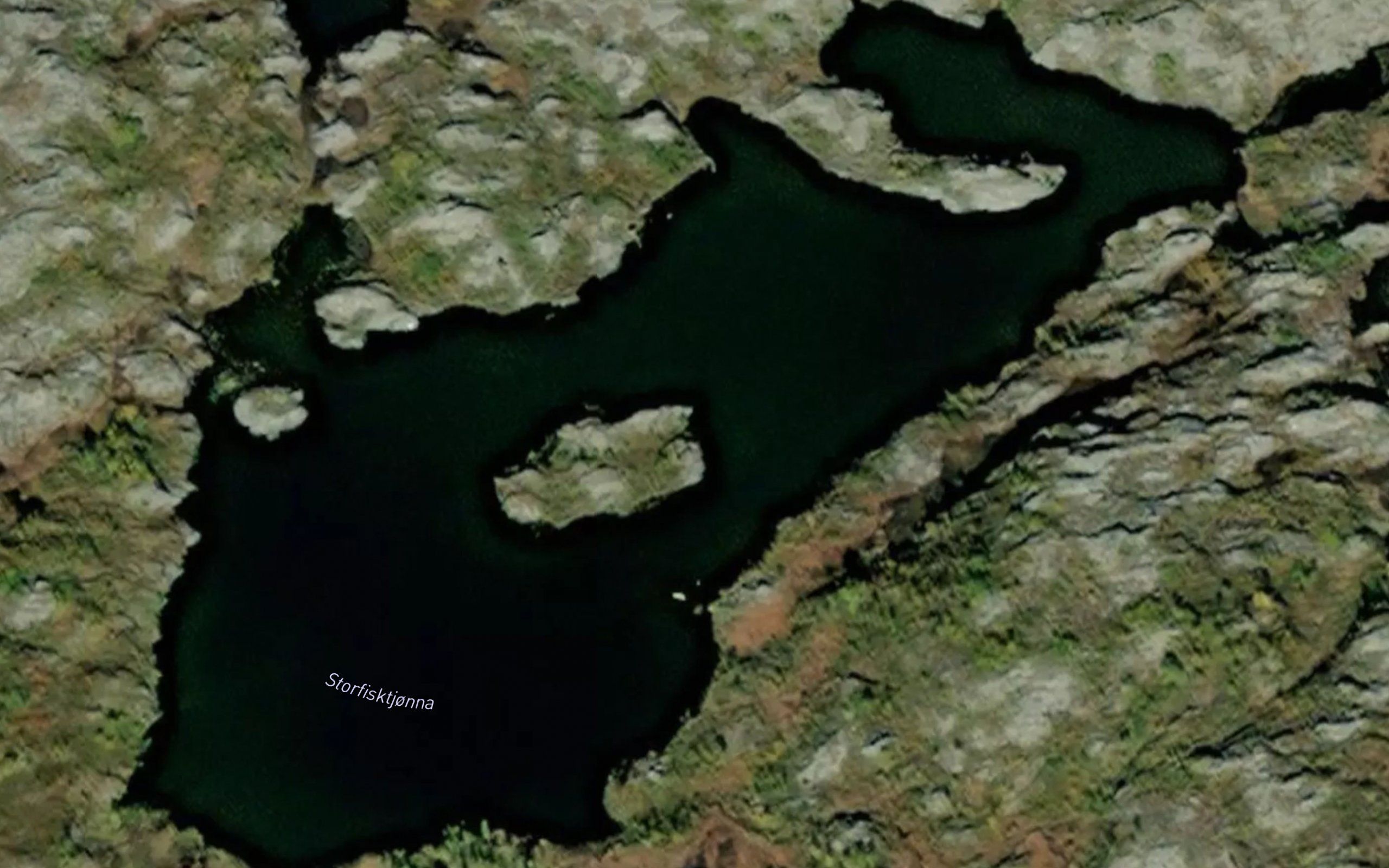 Storfisktjonna