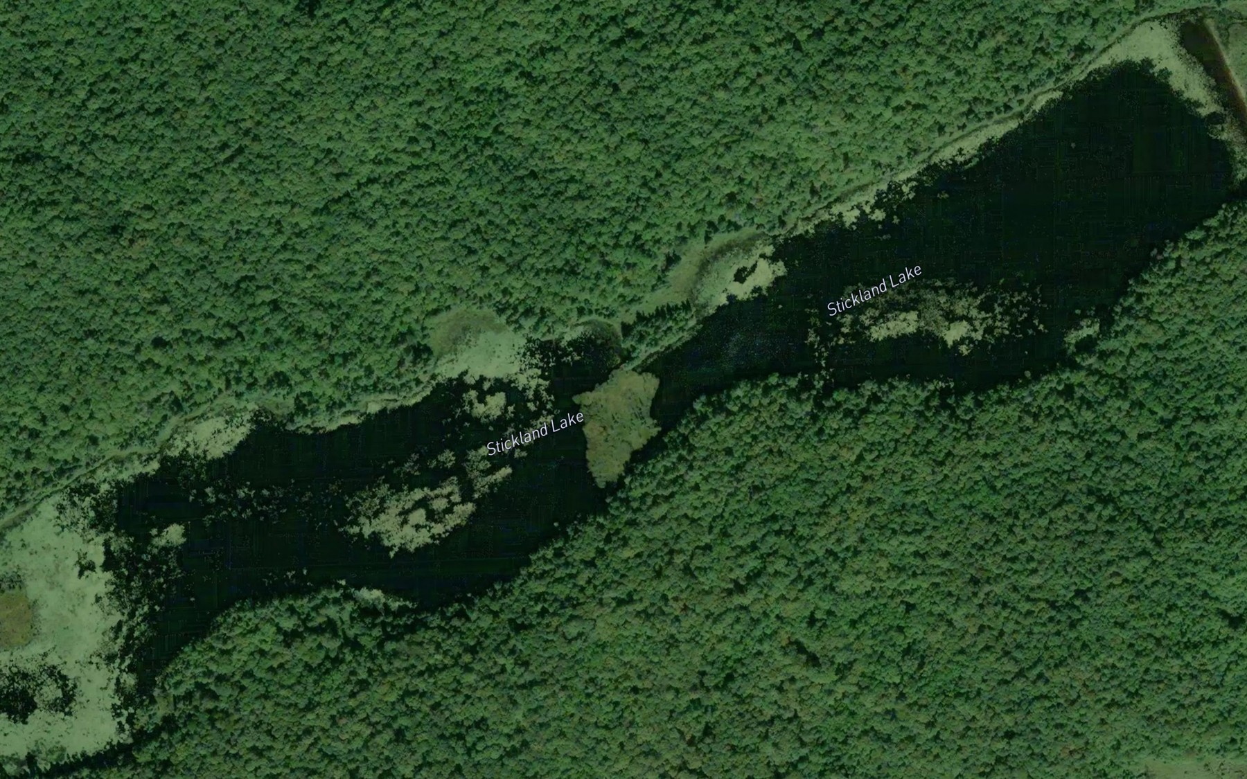 Satellite map of the Stickland Lake