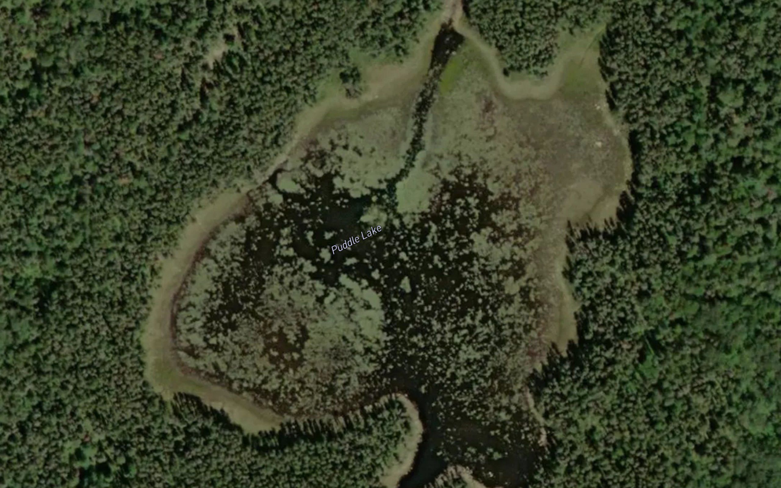 Puddle Lake