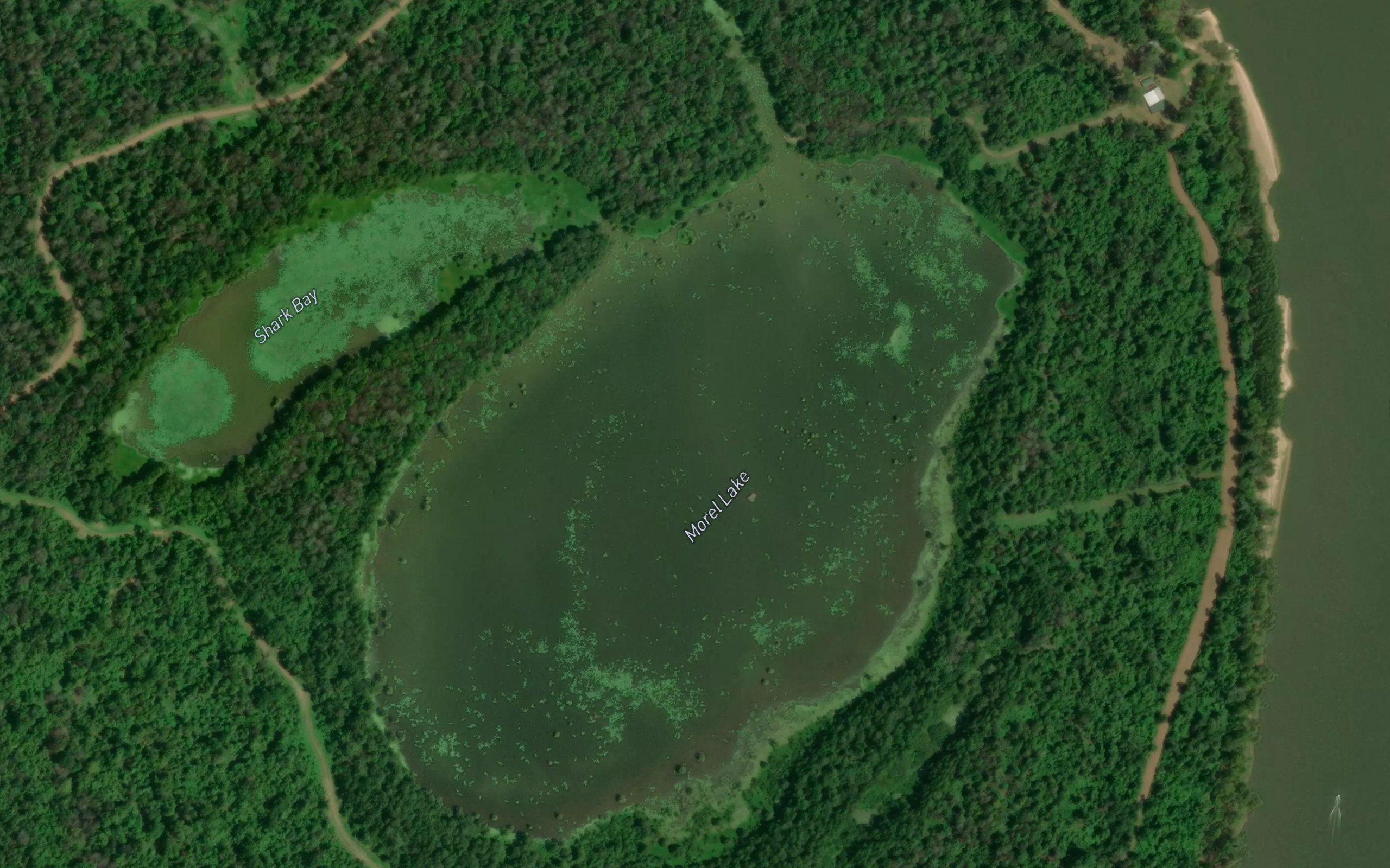 Morel Lake