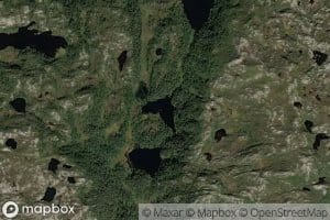 Svartebotstjornane
