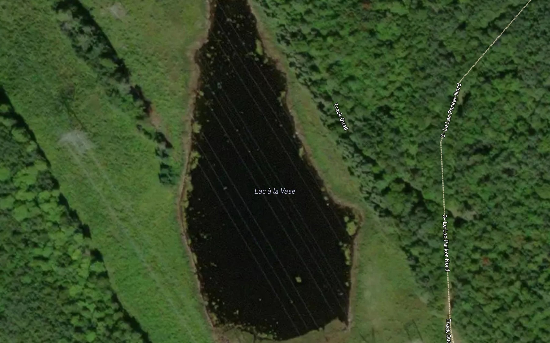 Satellite map of the Lac a la Vase