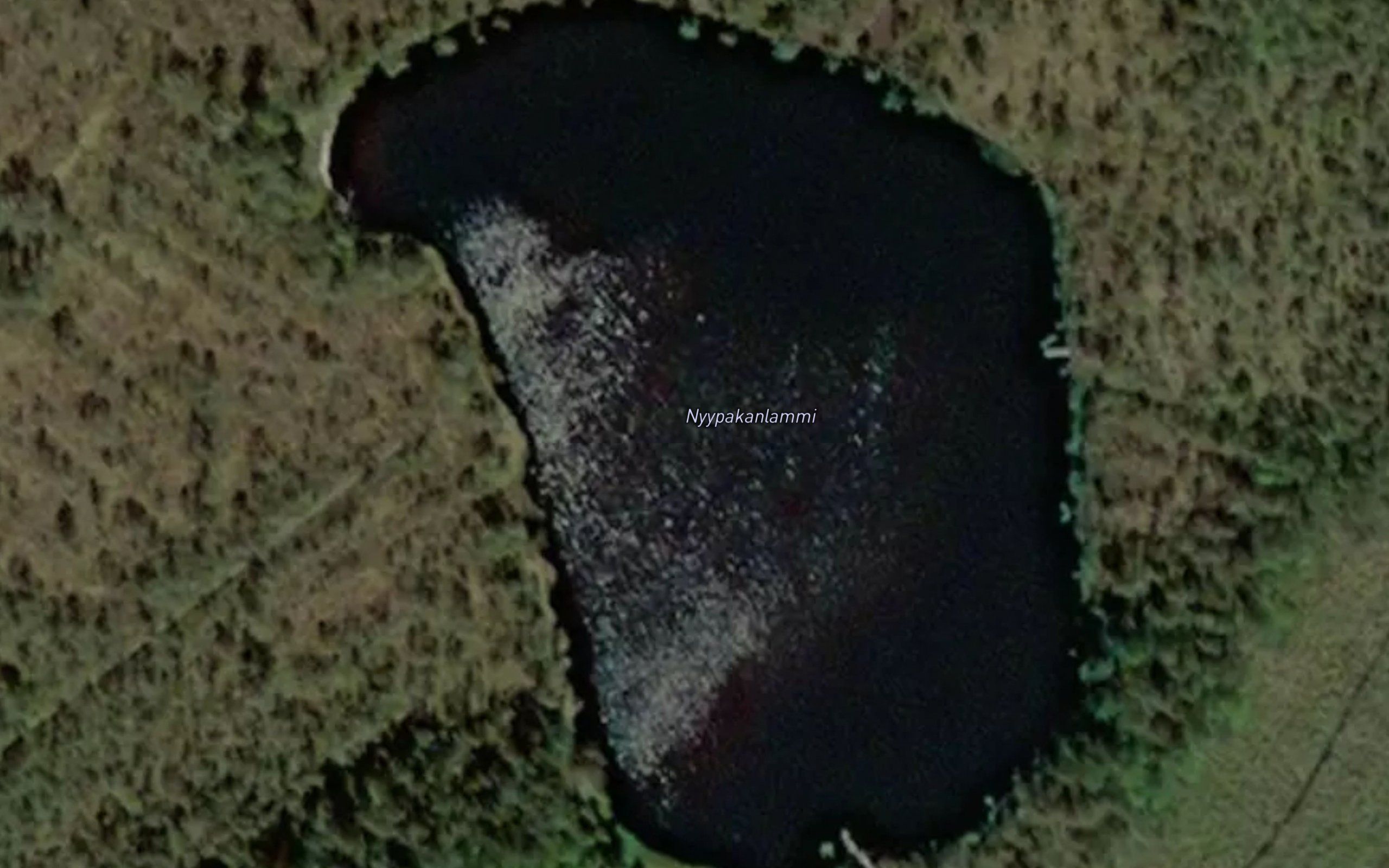 Nyypakanlammi