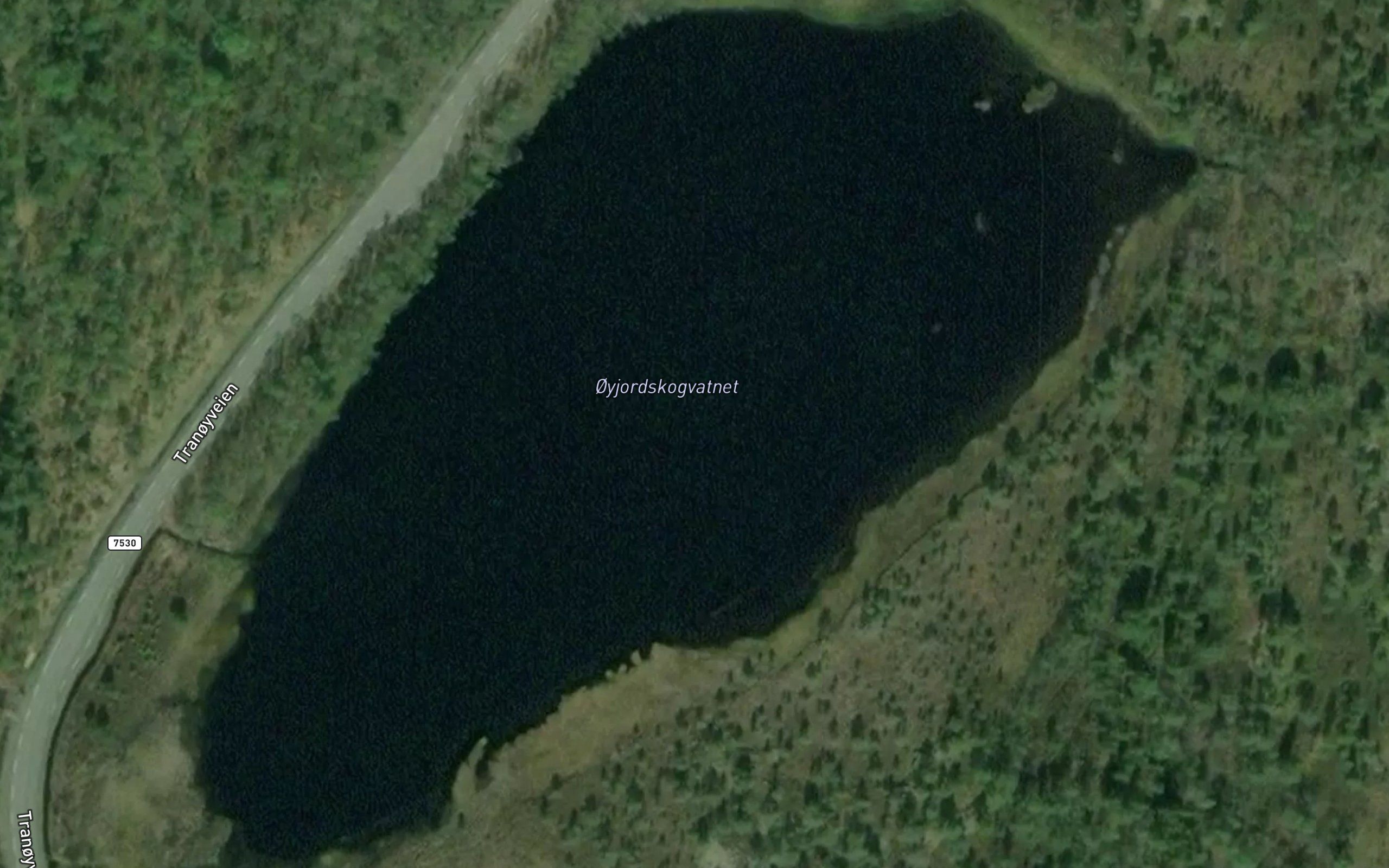 Oyjordskogvatnet