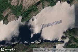 Fessevatnet