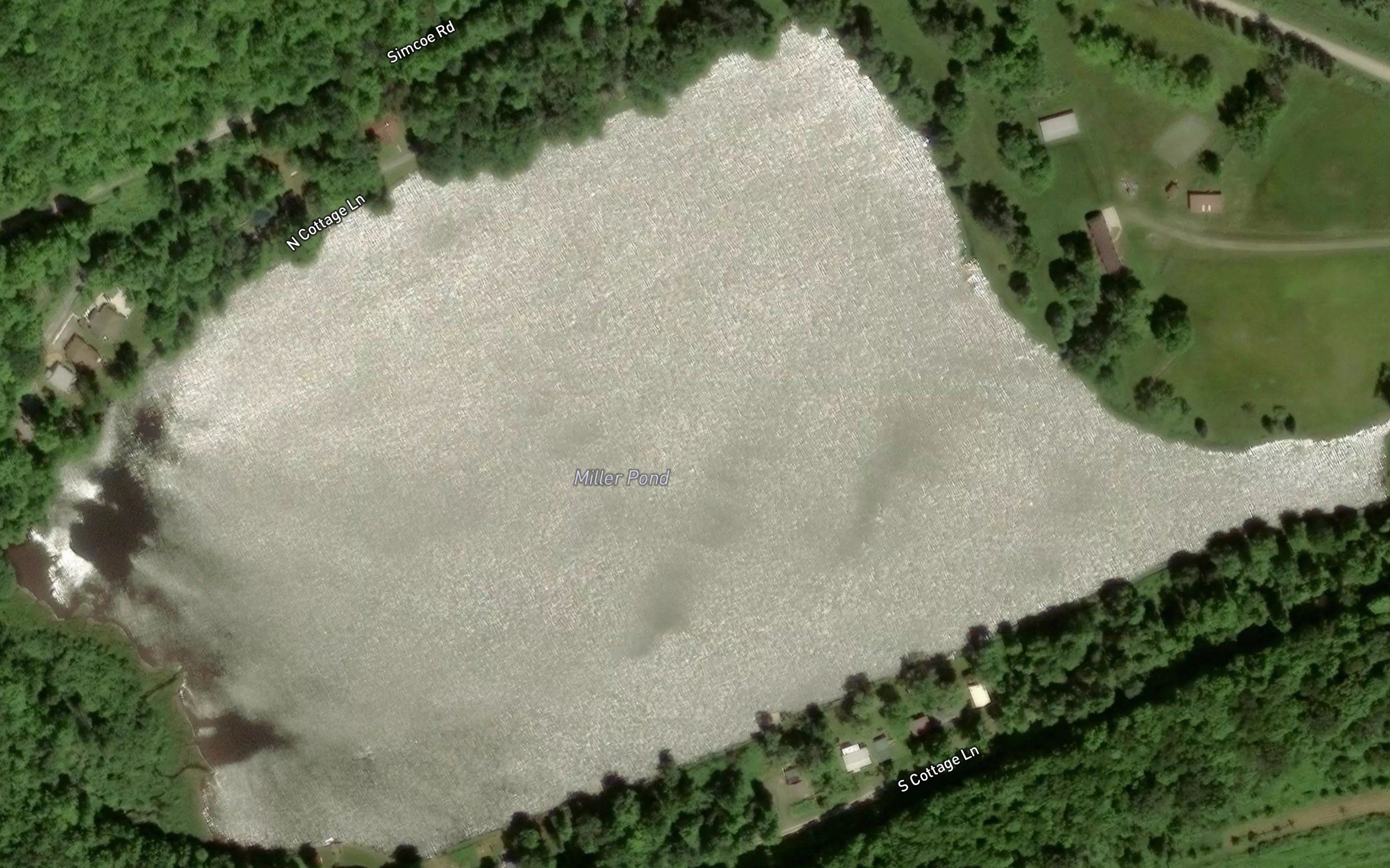 Miller Pond
