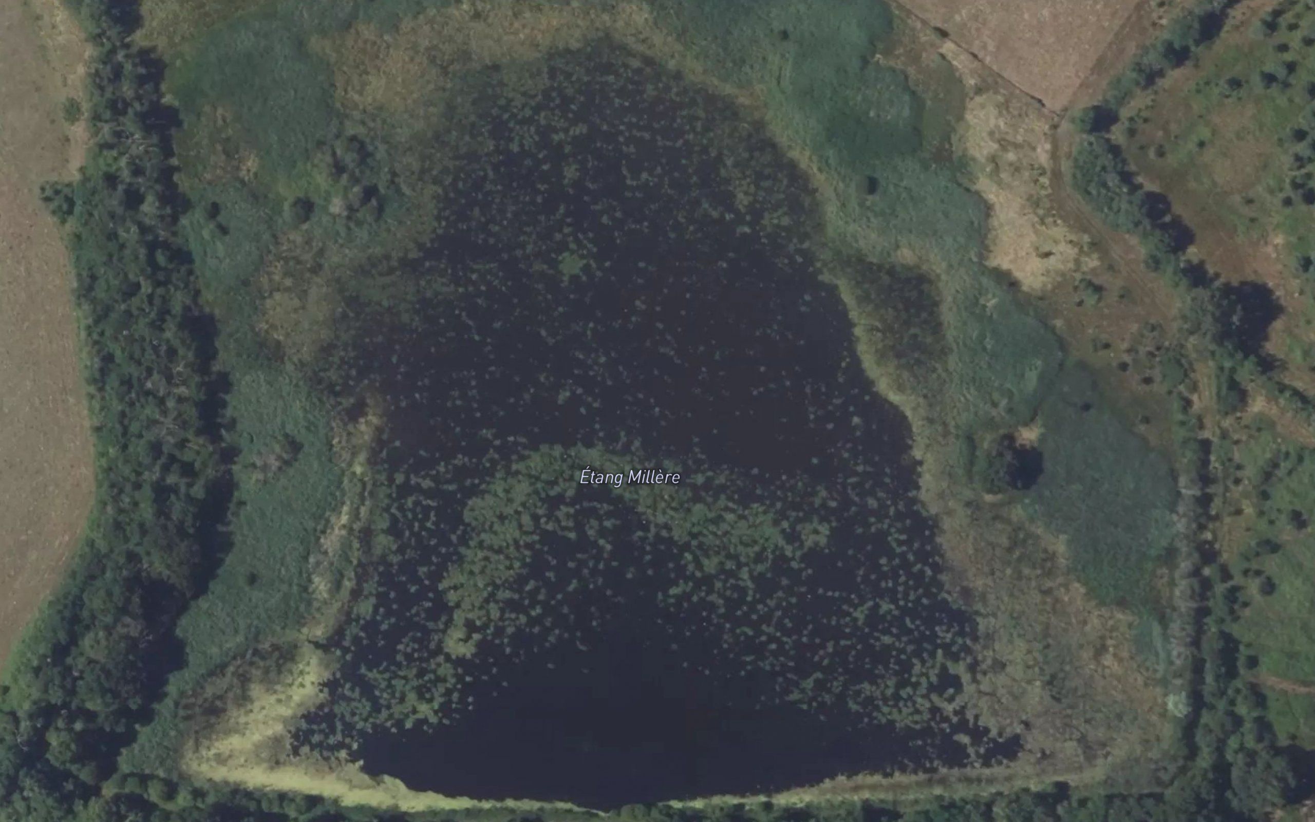 Etang Millere