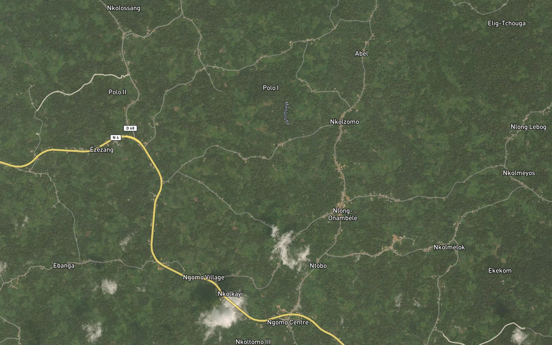 Satellite map of the Ngomo