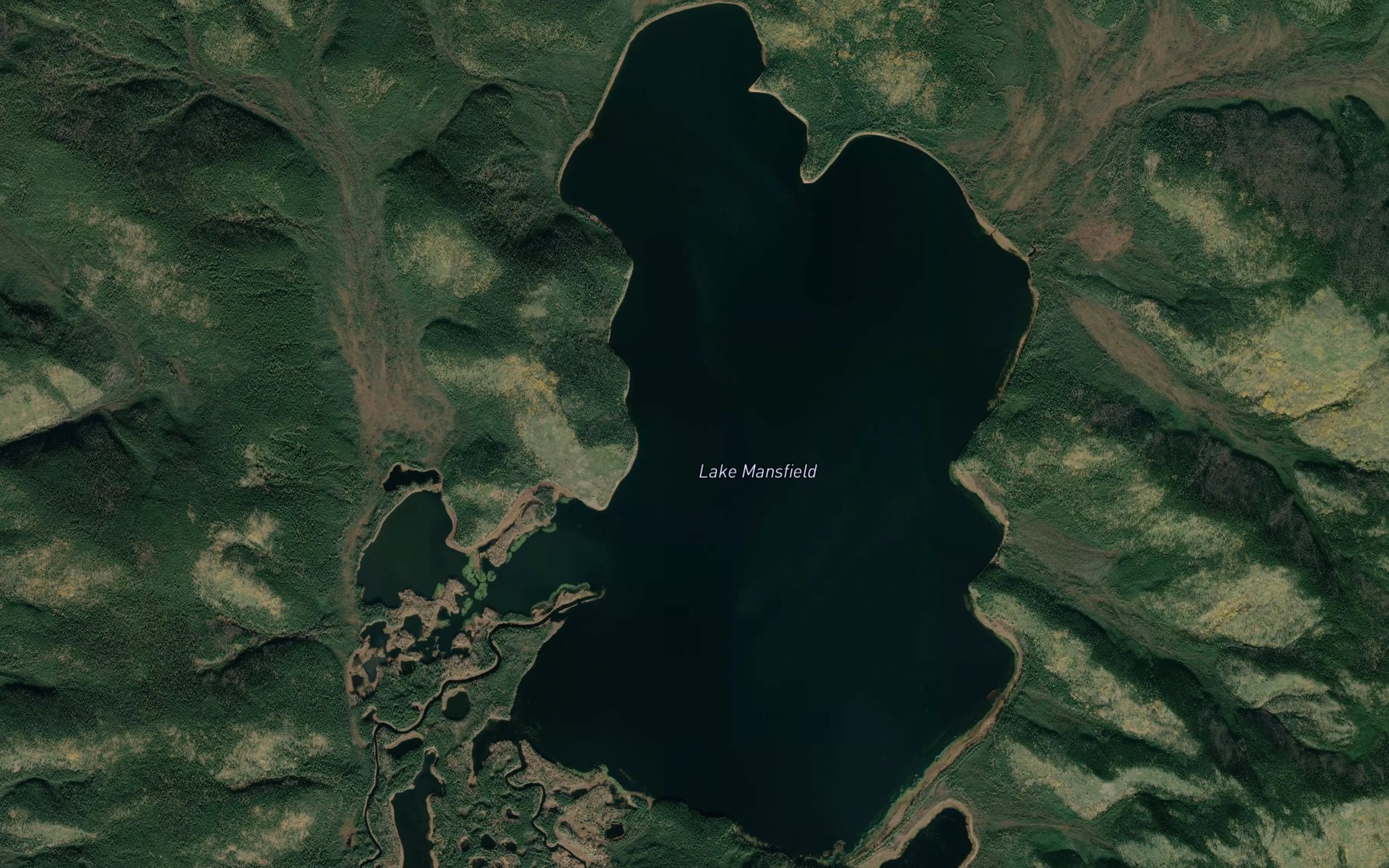 Satellite map of the Lake Mansfield