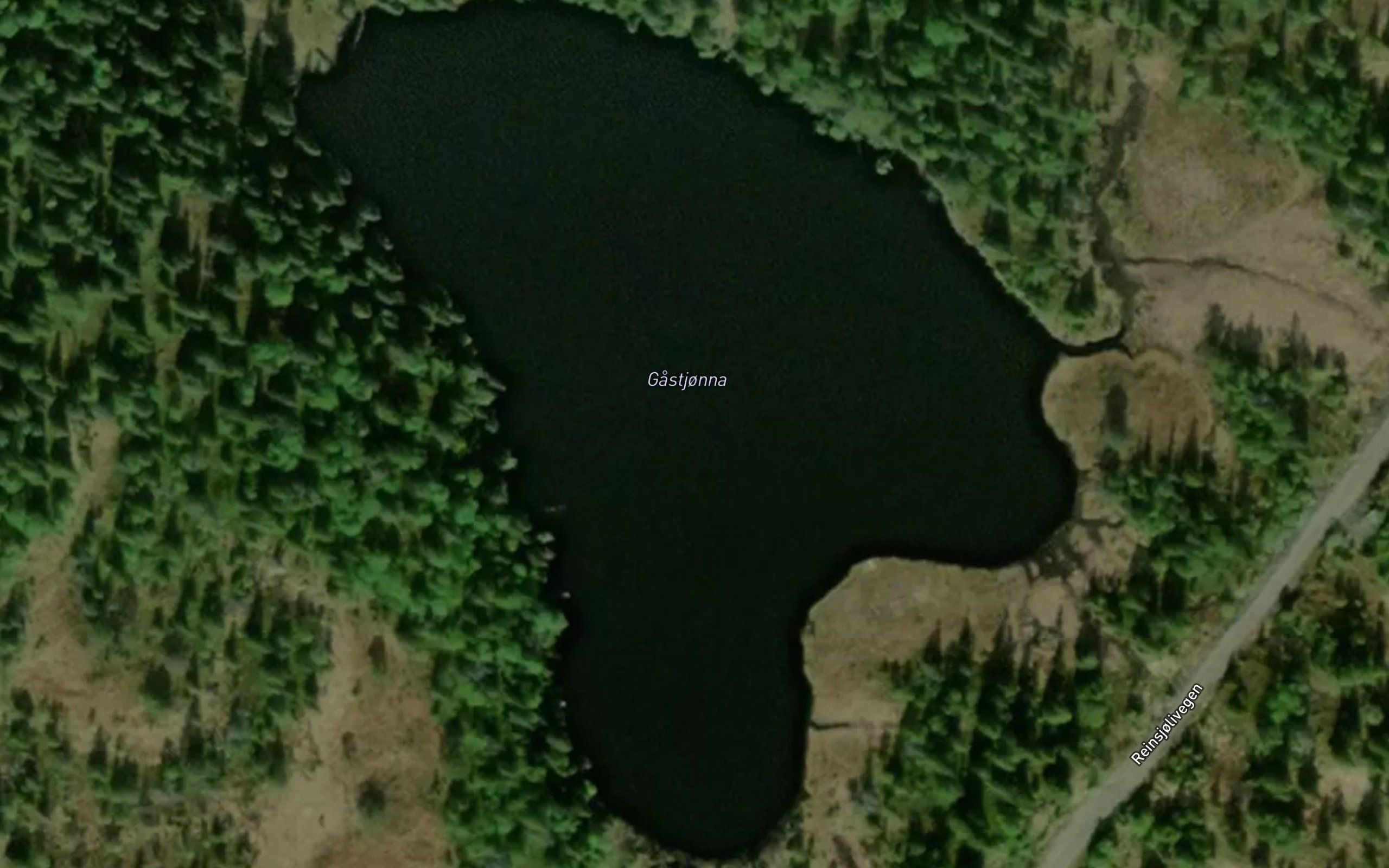 Gastjorna