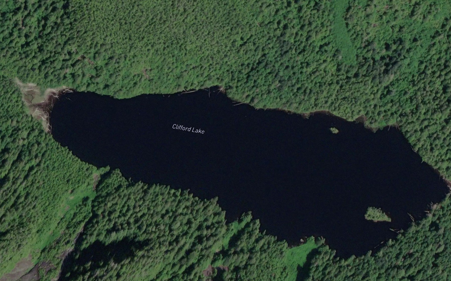 Satellite map of the Clifford Lake
