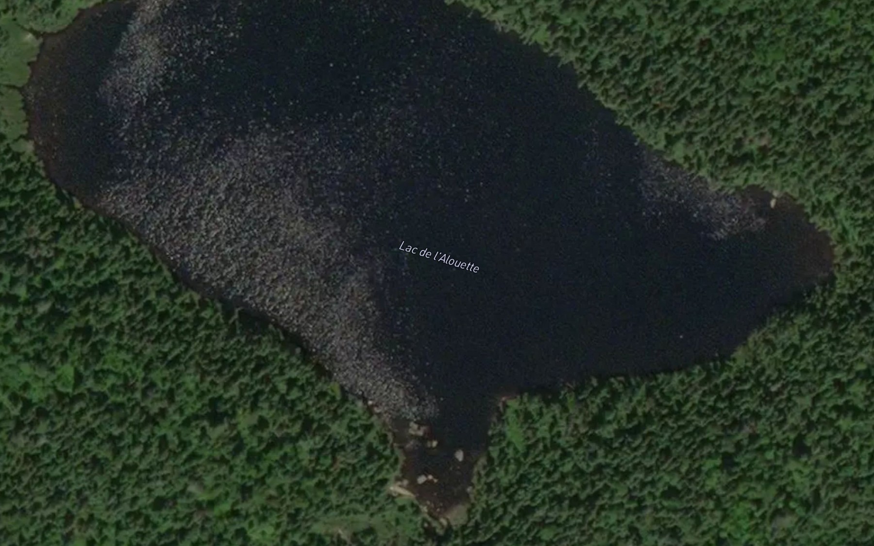 Satellite map of the Lac de l'Alouette