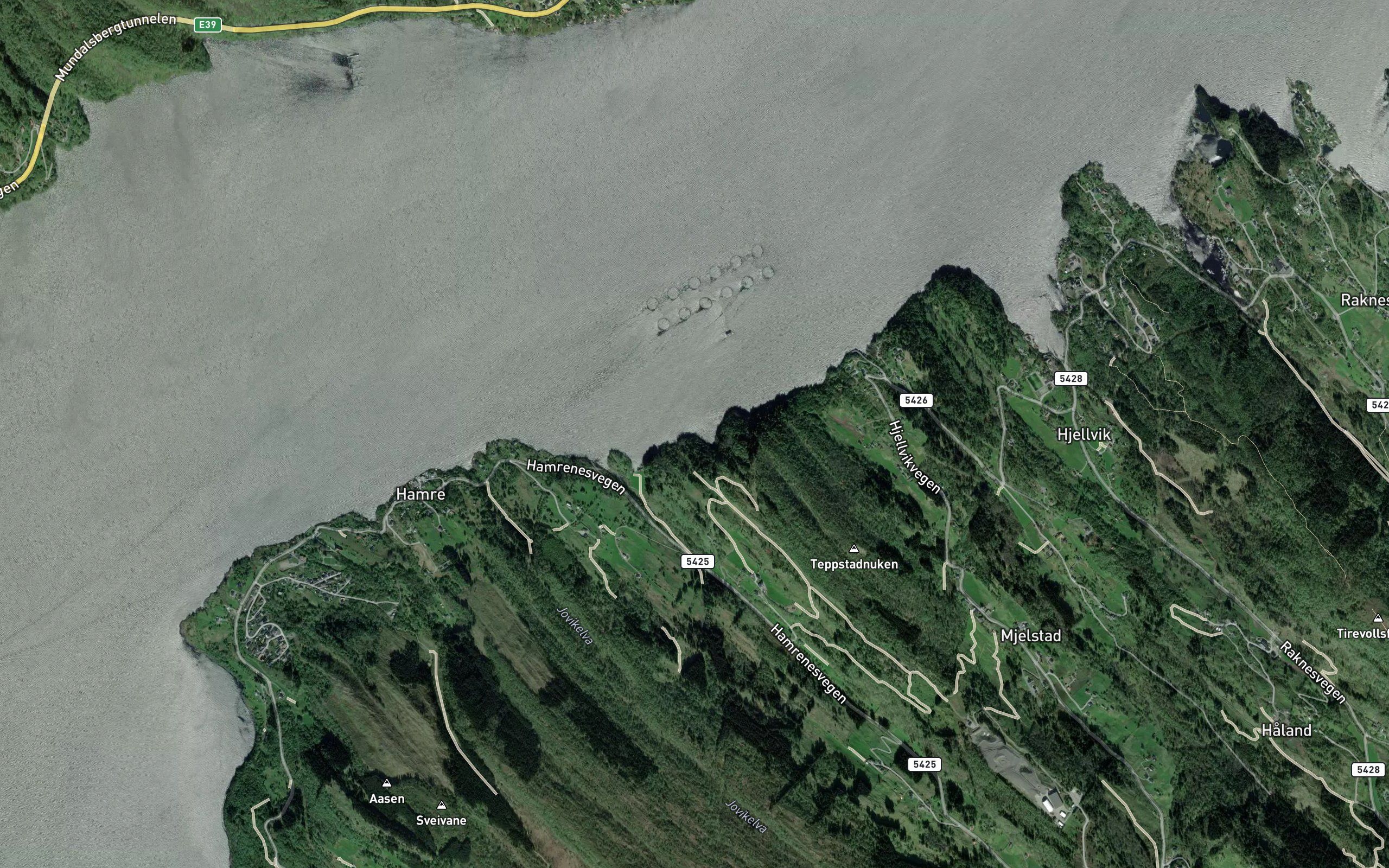 Kolhovdvika
