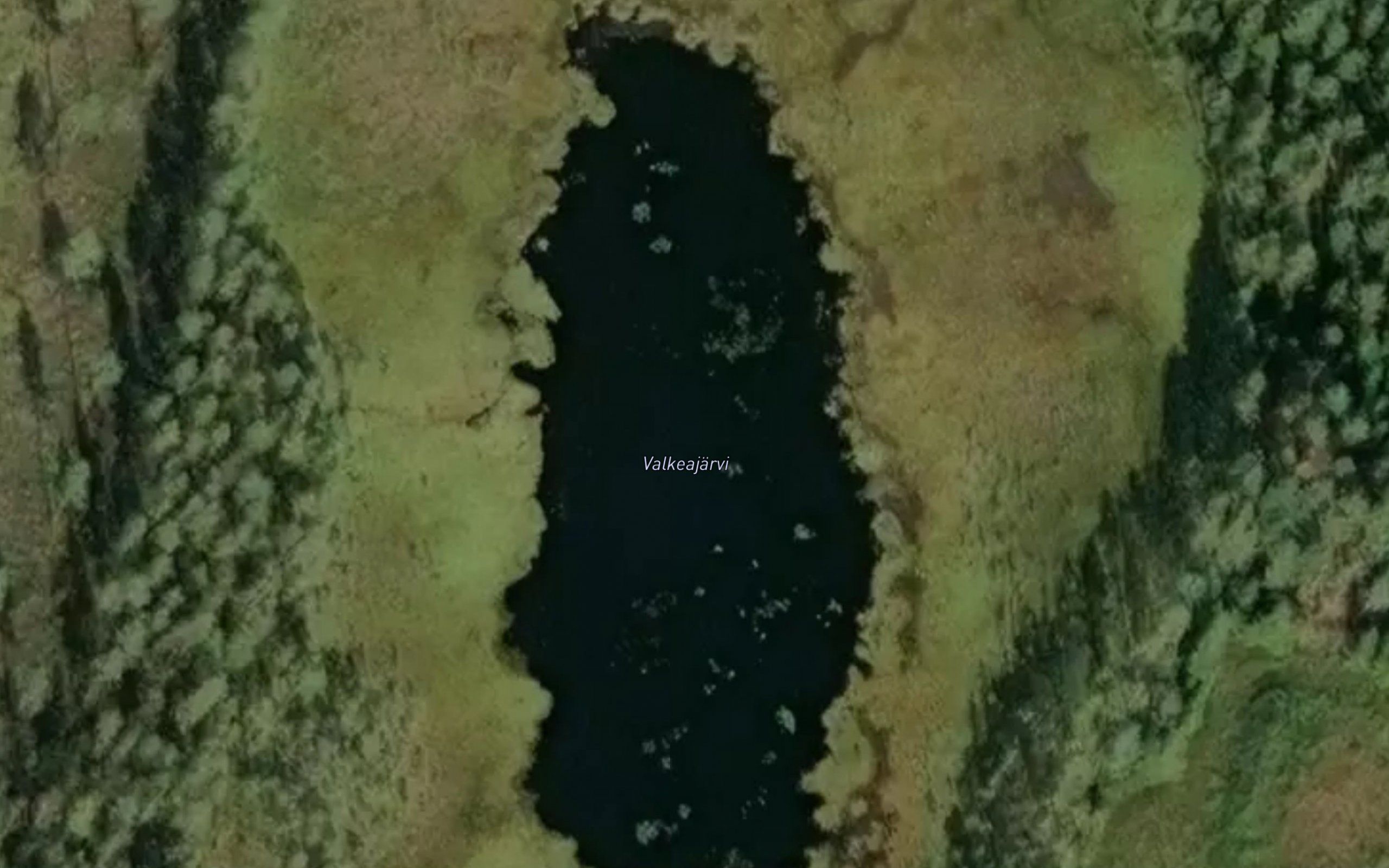 Valkeajarvi