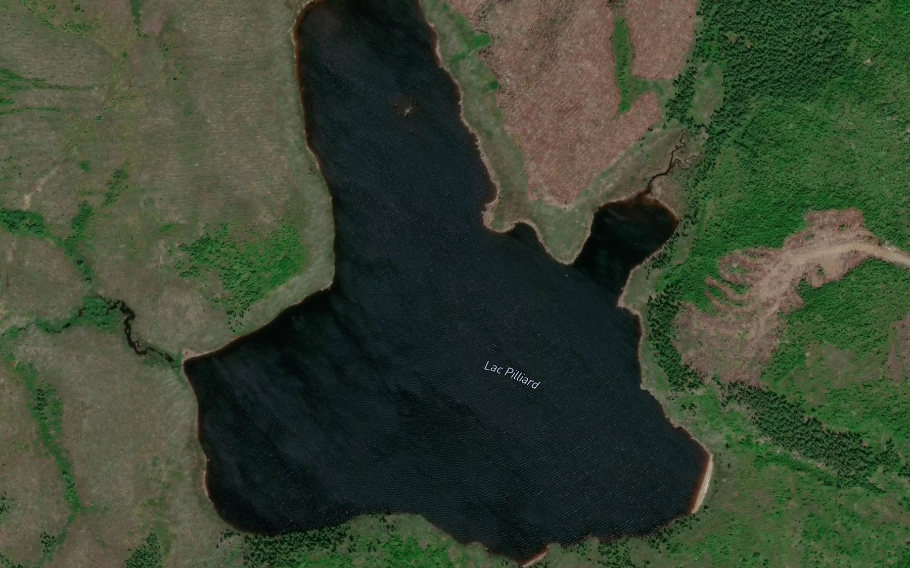 Satellite map of the Lac Pilliard