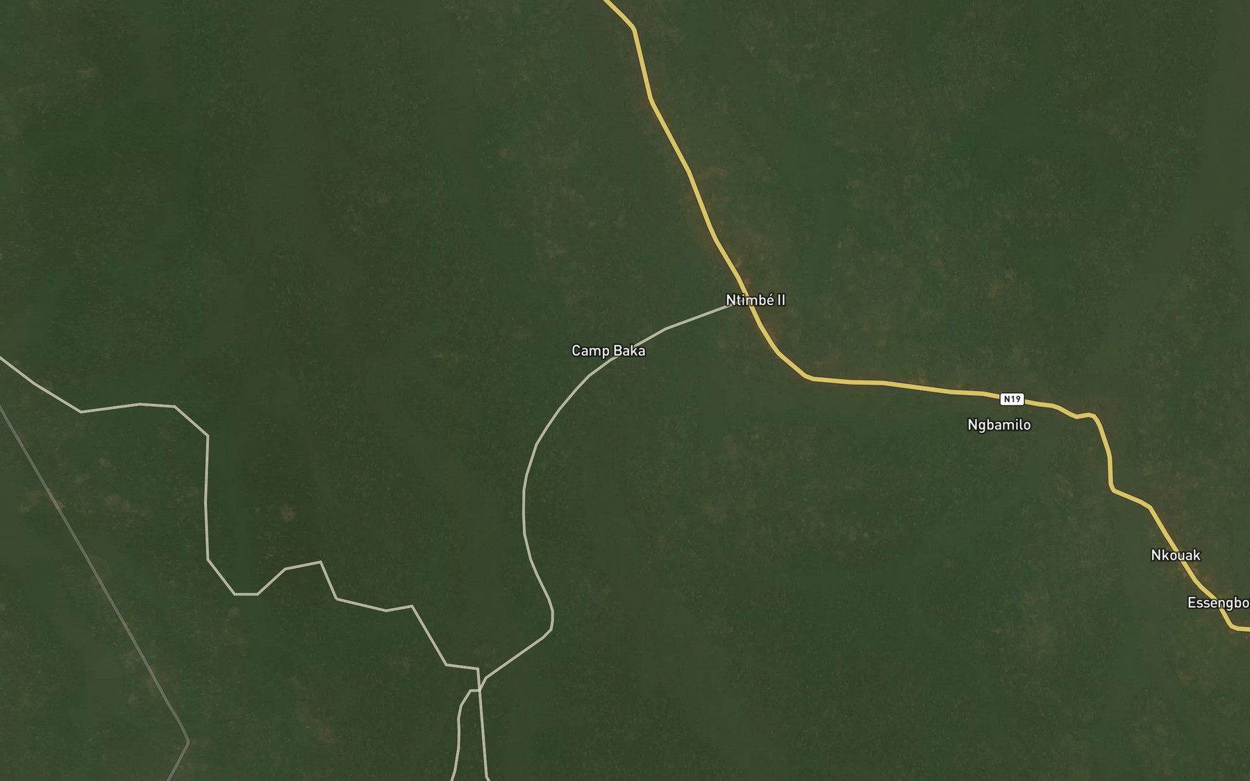Satellite map of the Zouame