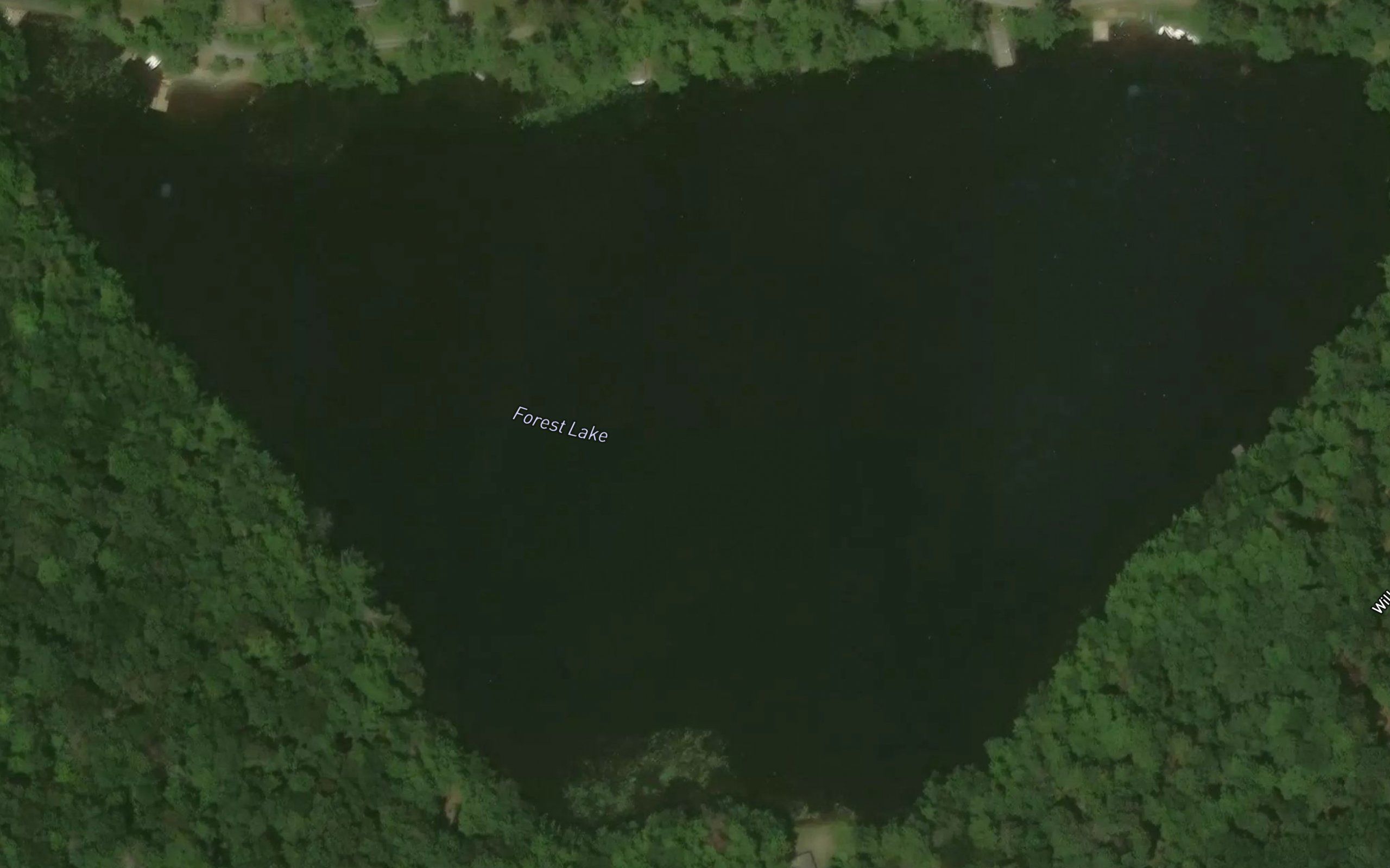 Forest Lake