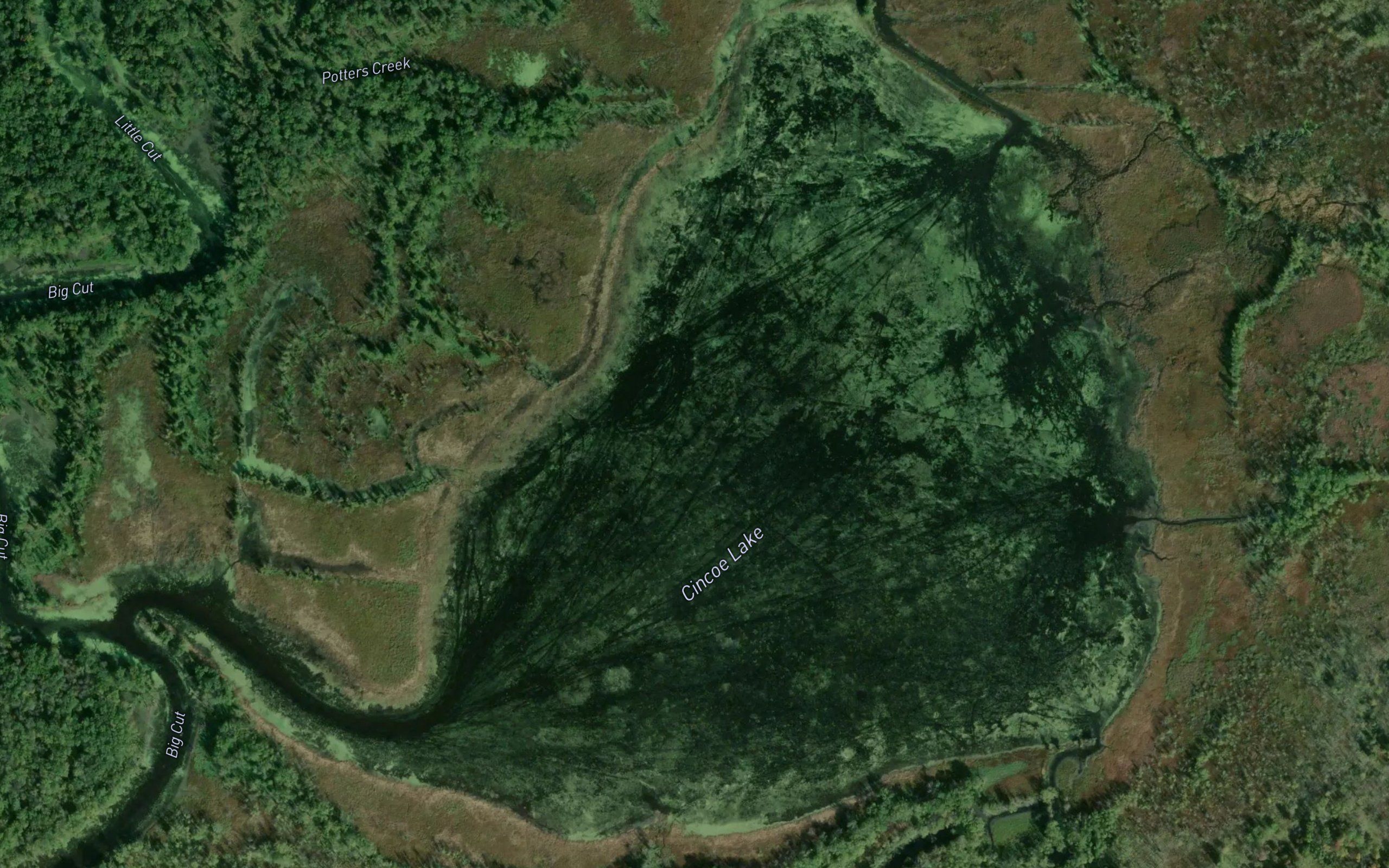Cincoe Lake