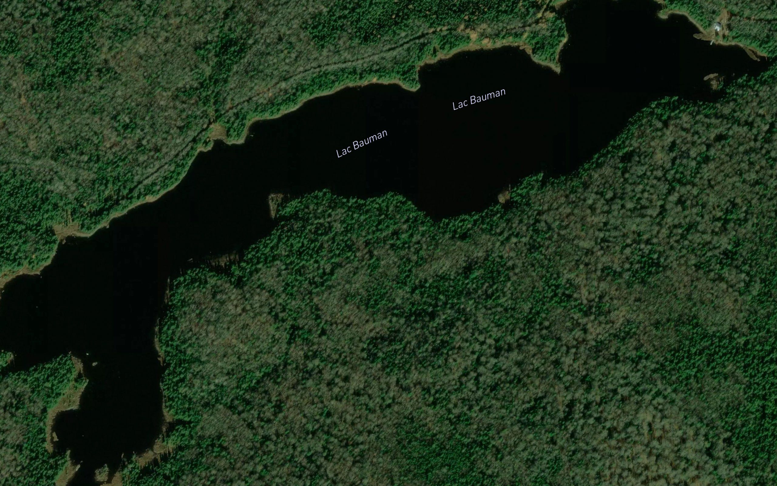 Lac Bauman