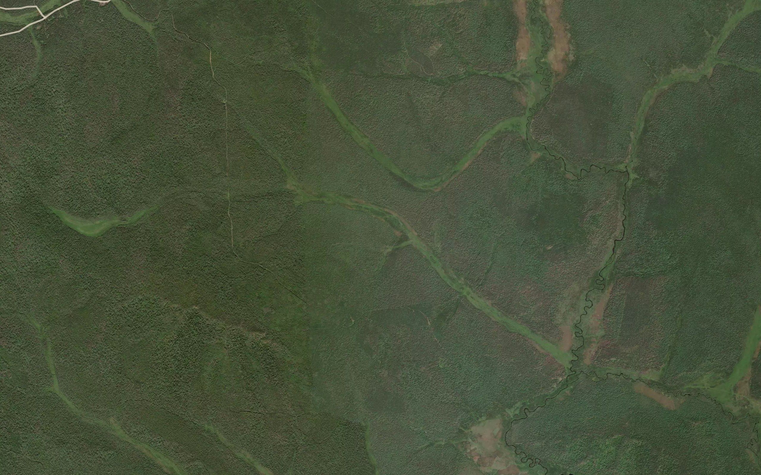 Pad' Yagodnaya