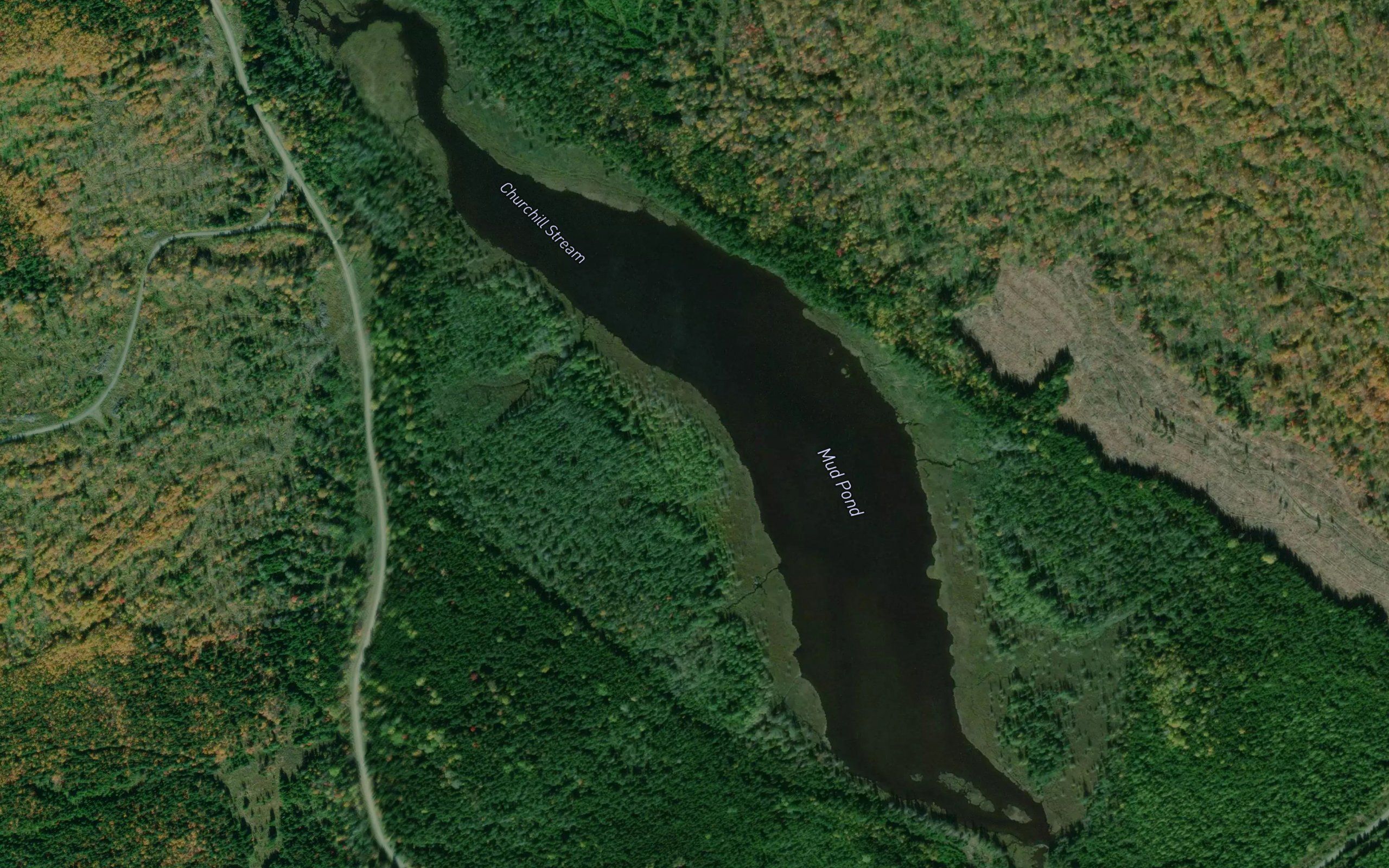 Mud Pond