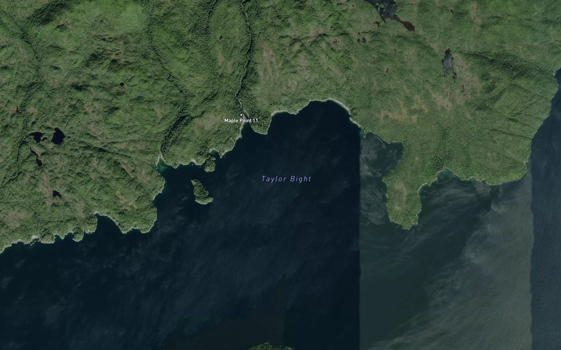 Satellite map of the Taylor Bight