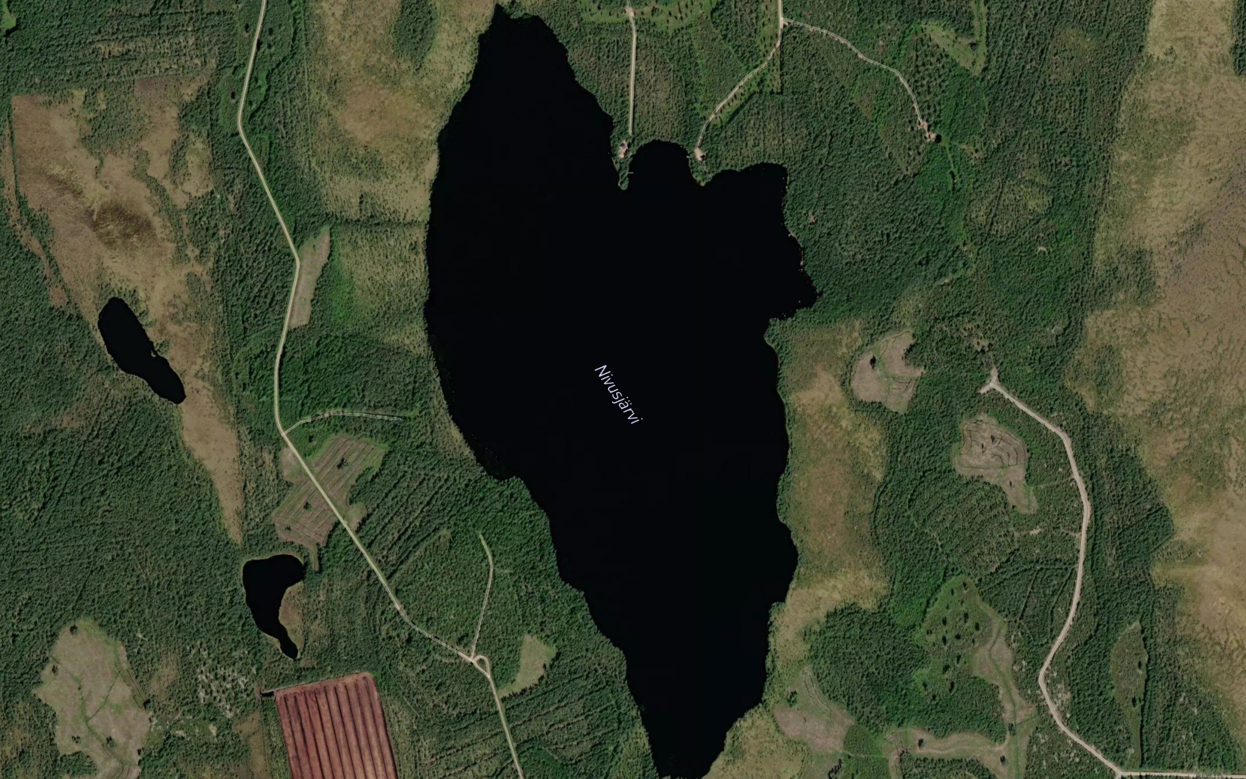 Nivusjarvi