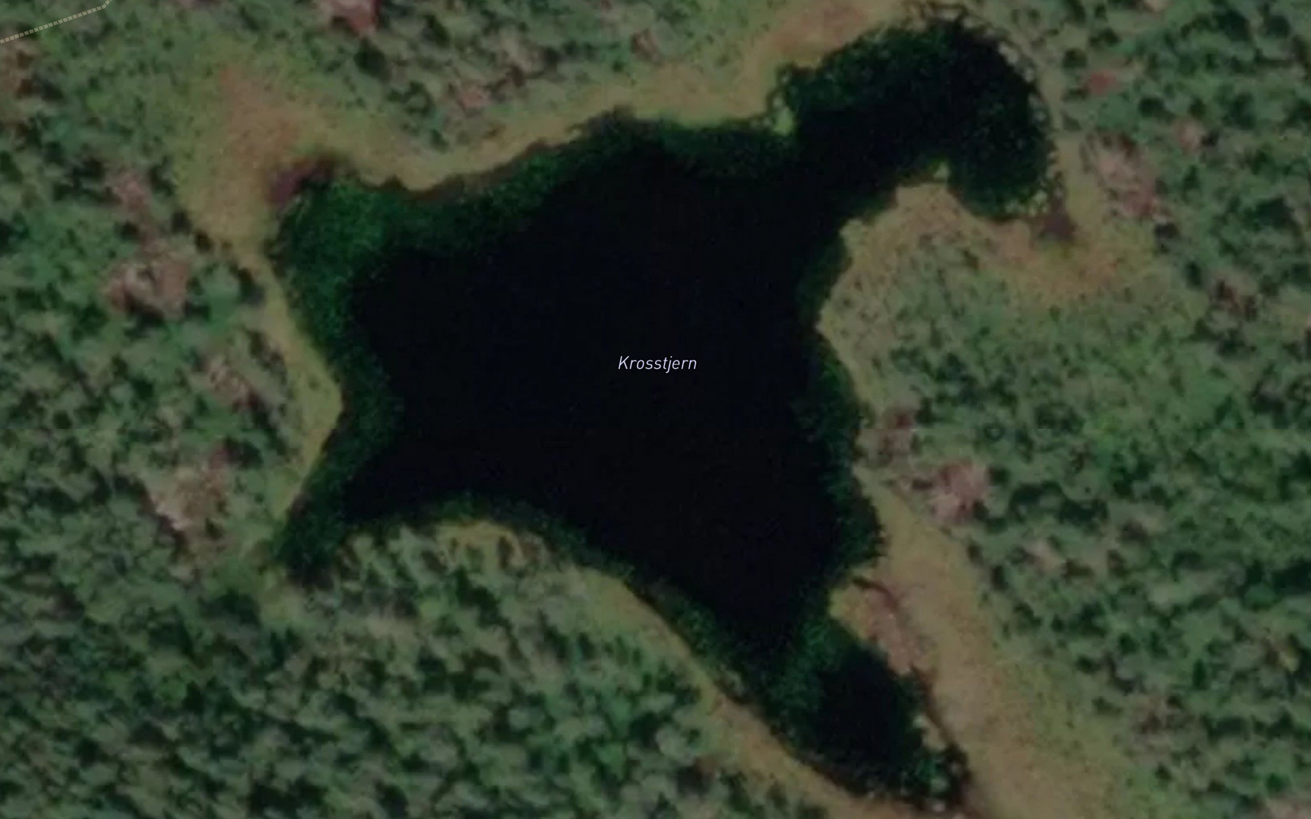 Krosstjern