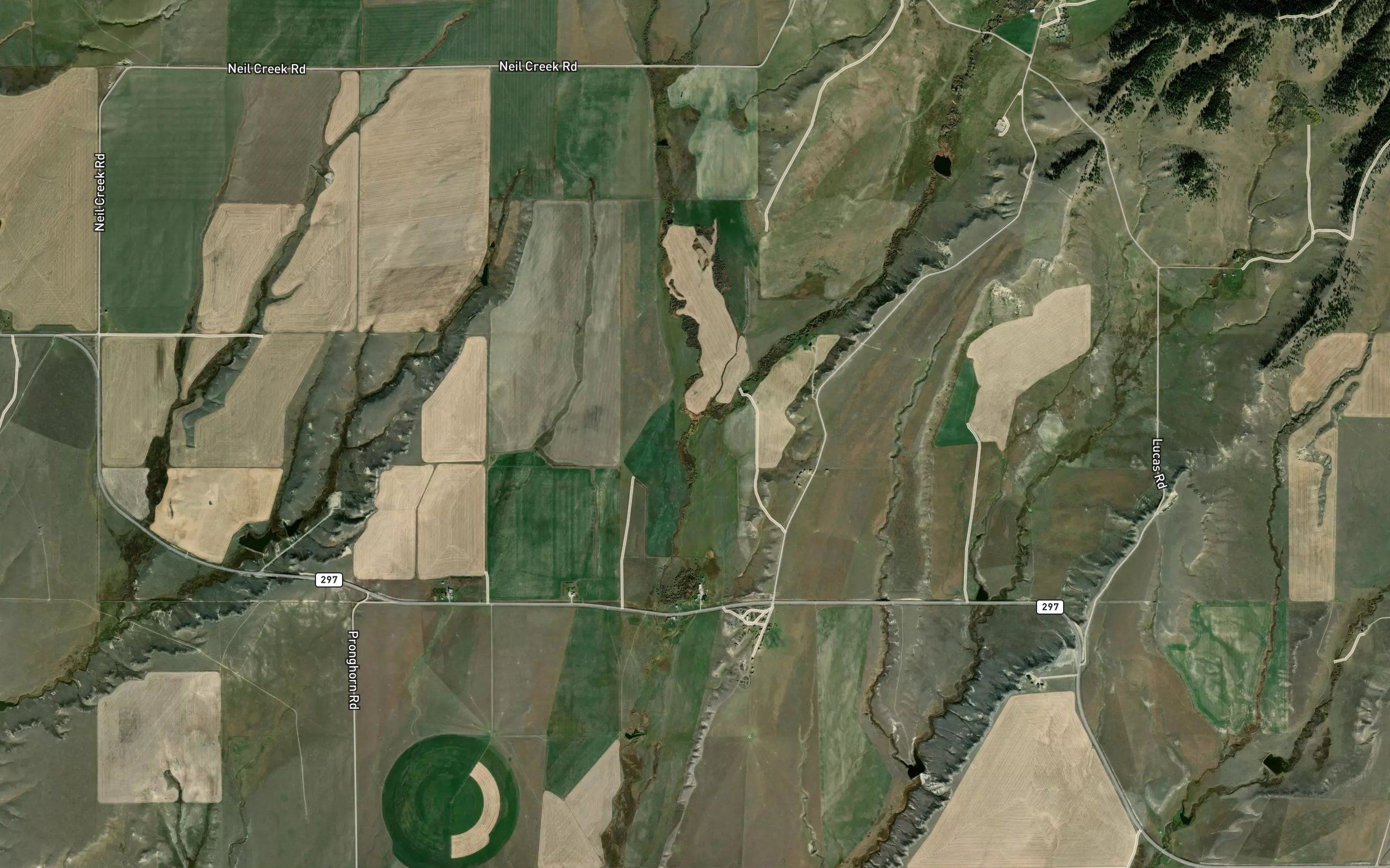 Niel Creek