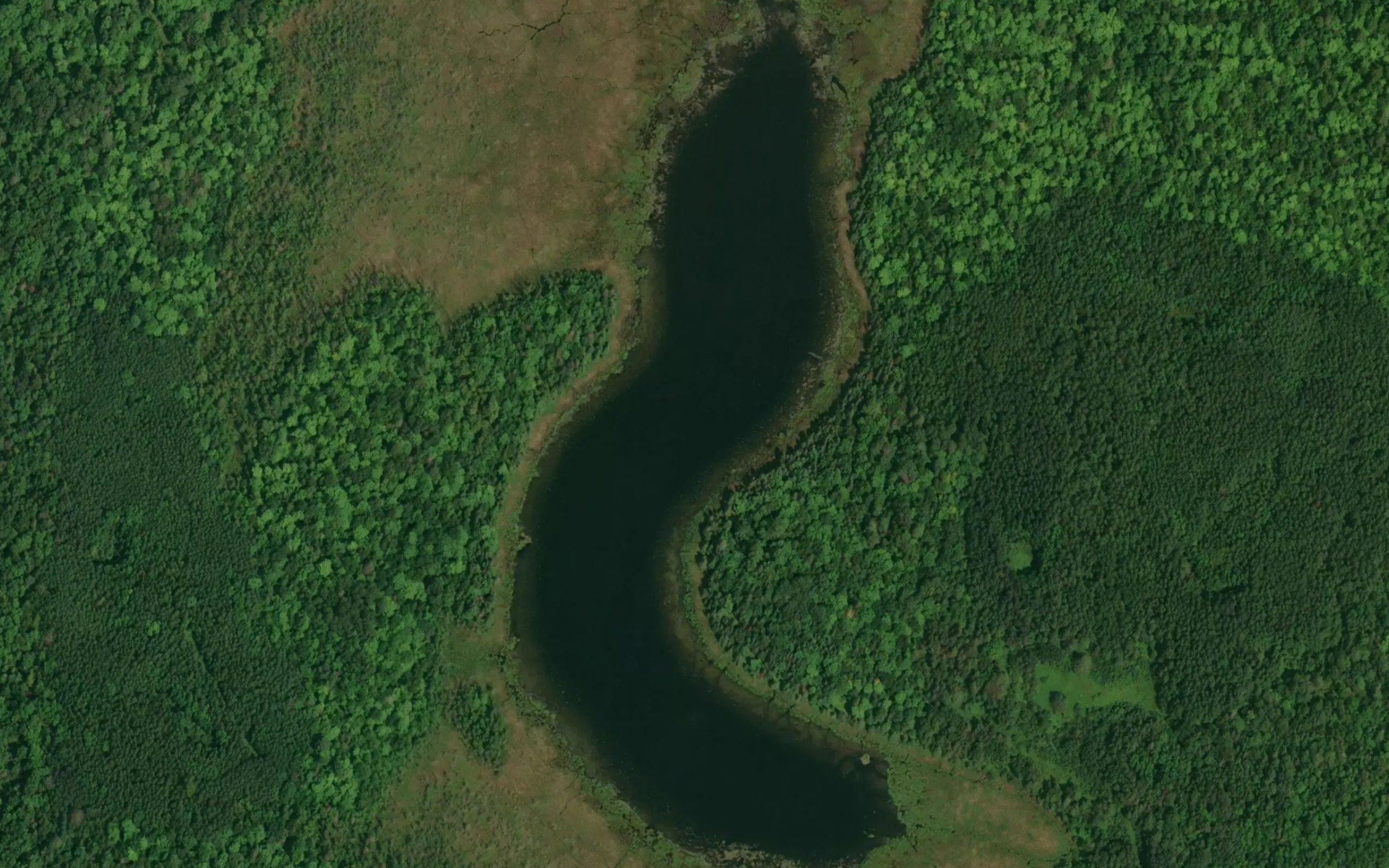 Flenner Lake