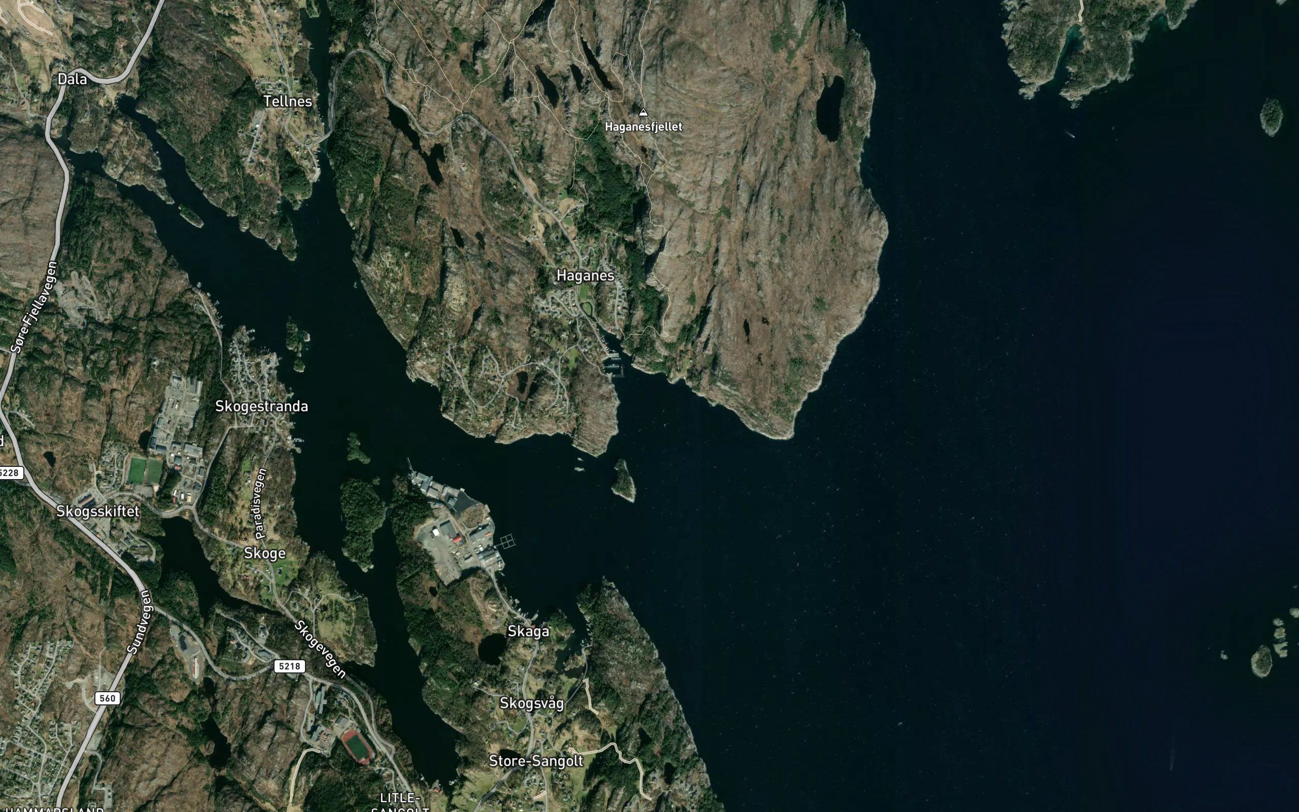 Haganesvika