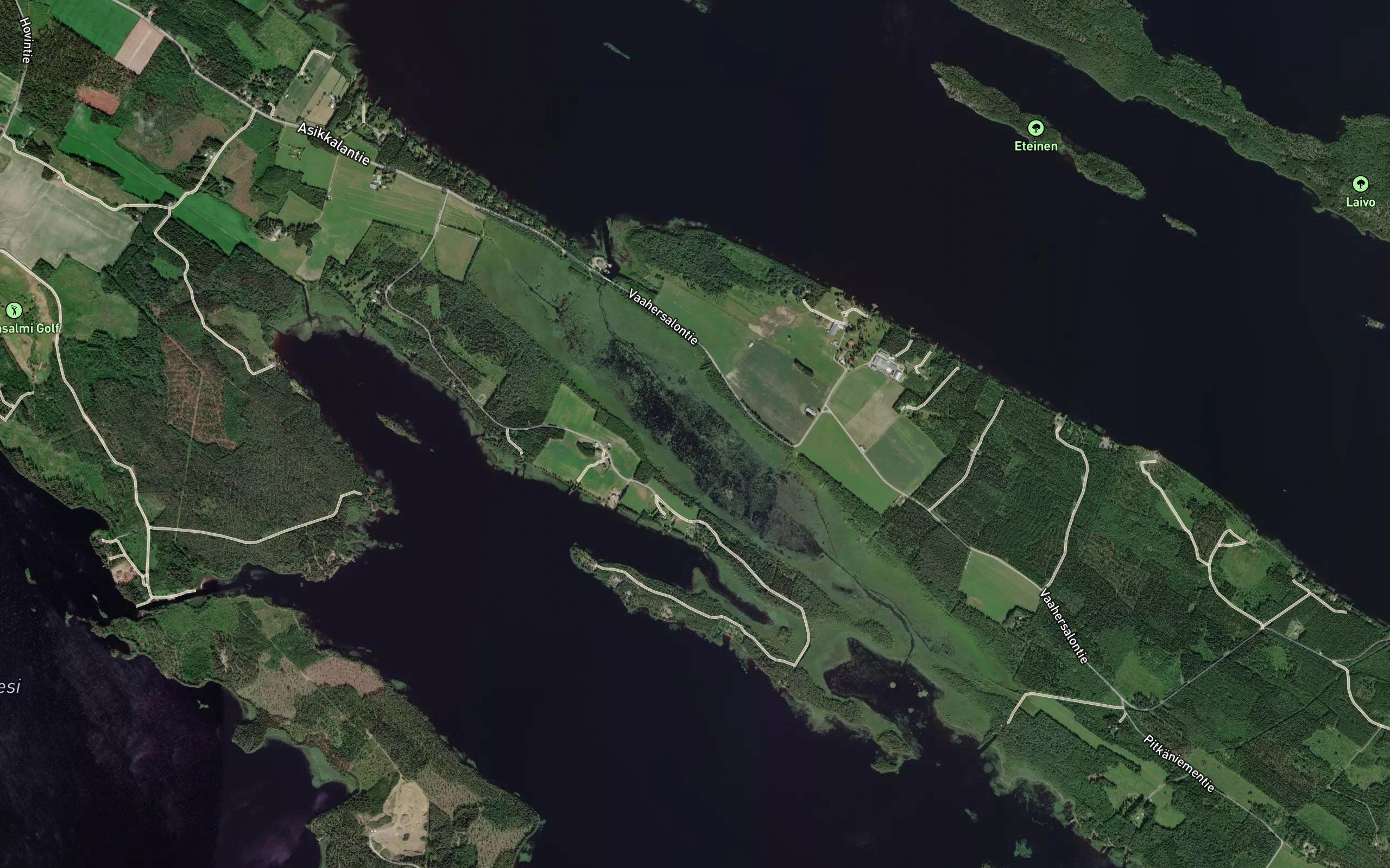 Vaahersalonlampi
