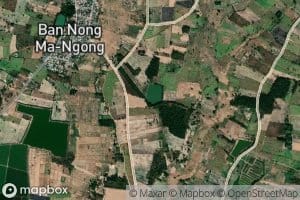 Nong Mangong