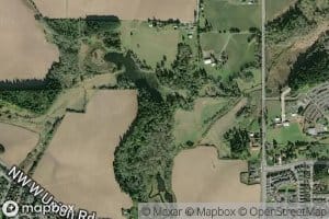 Holcomb Creek