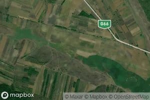 Leuseni
