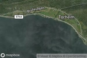 Torheimsvika