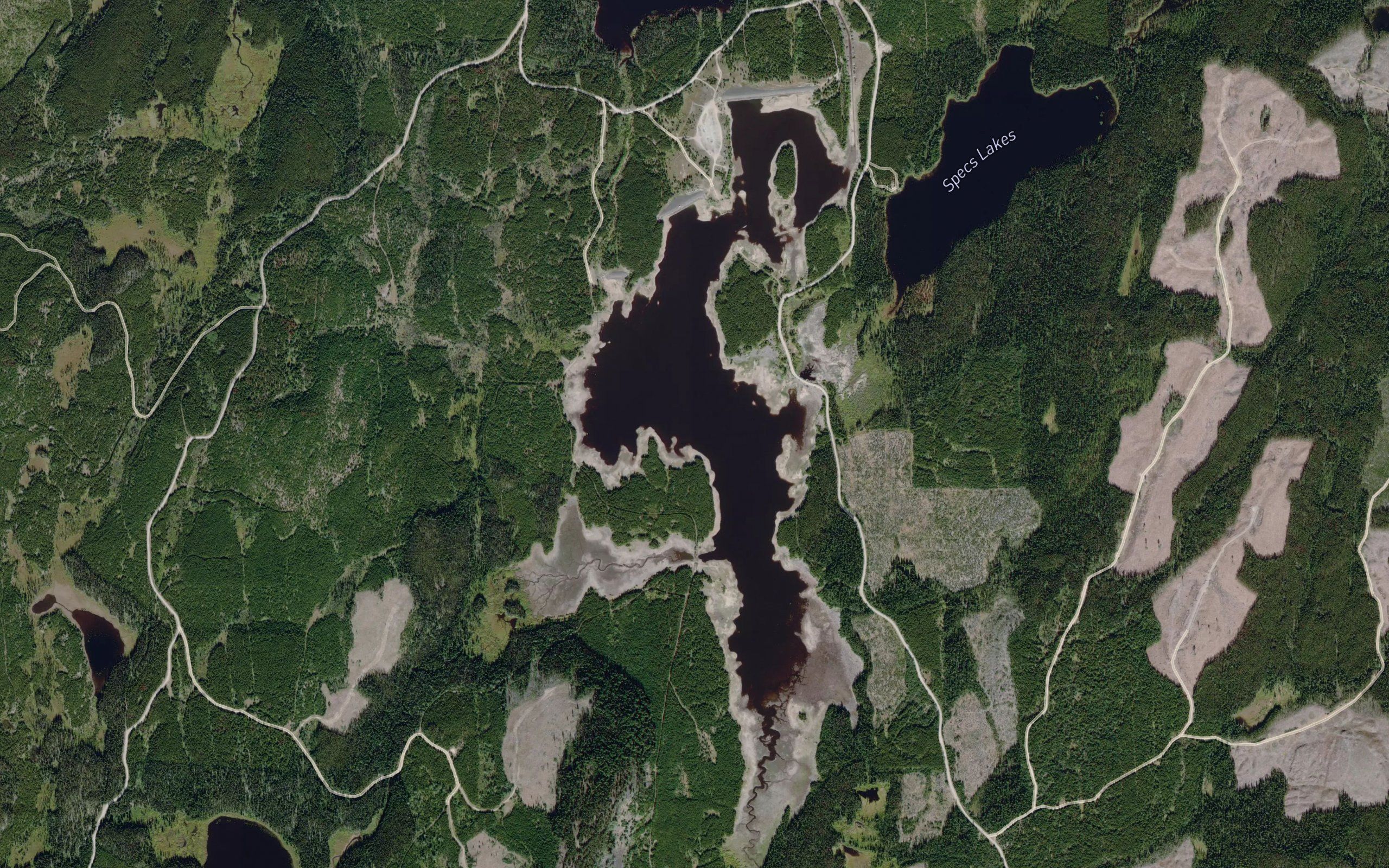 Grizzly Lake