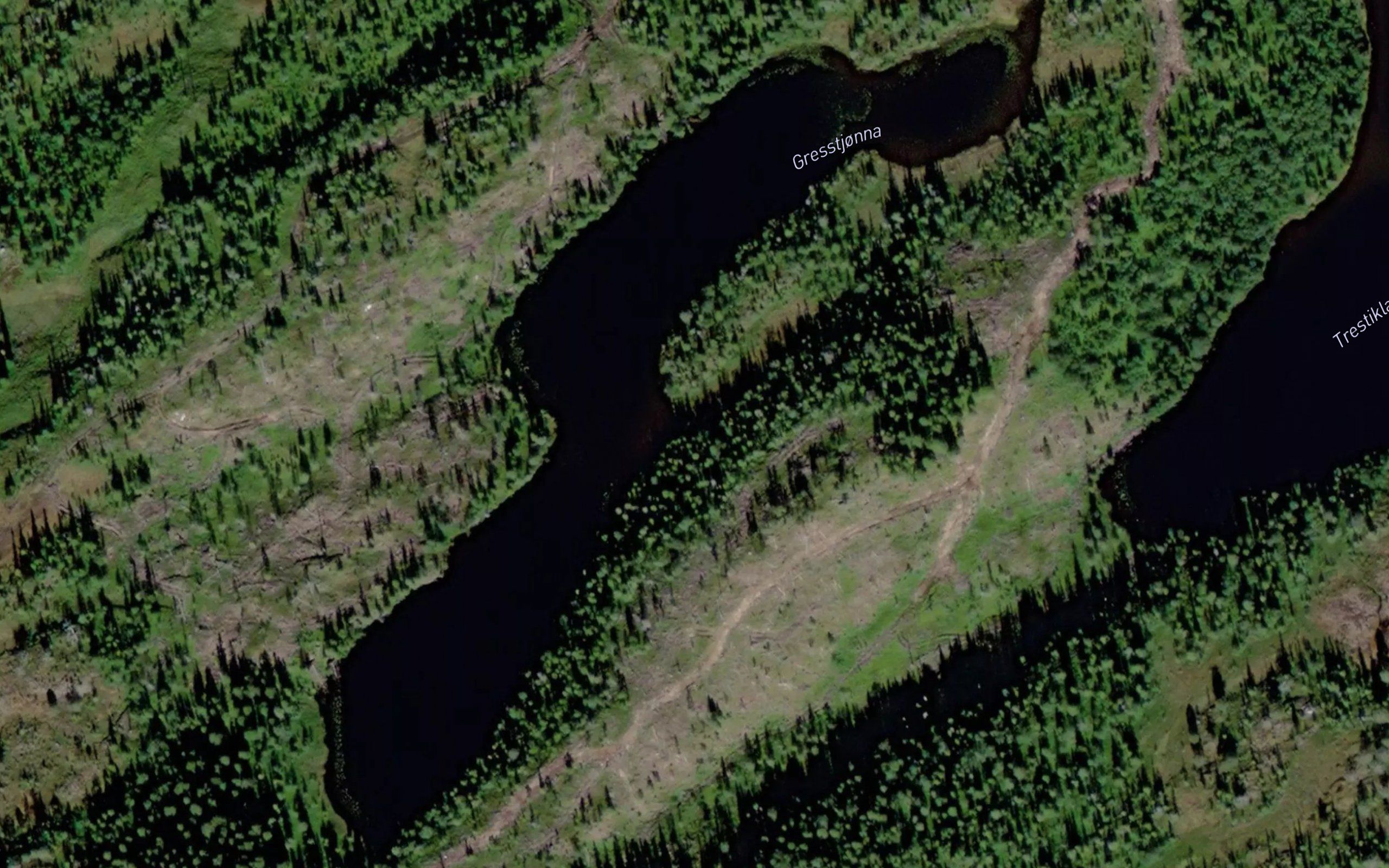 Gresstjonna