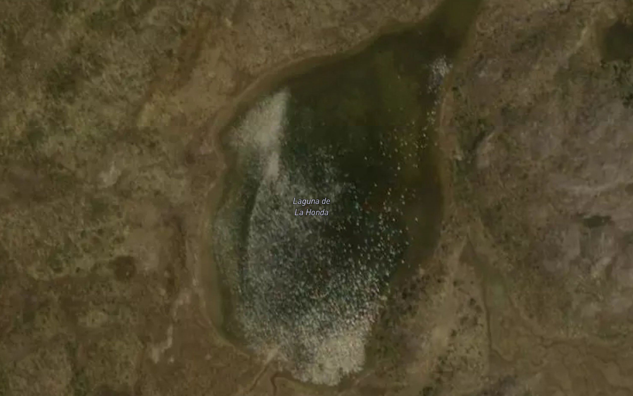 Laguna de La Honda