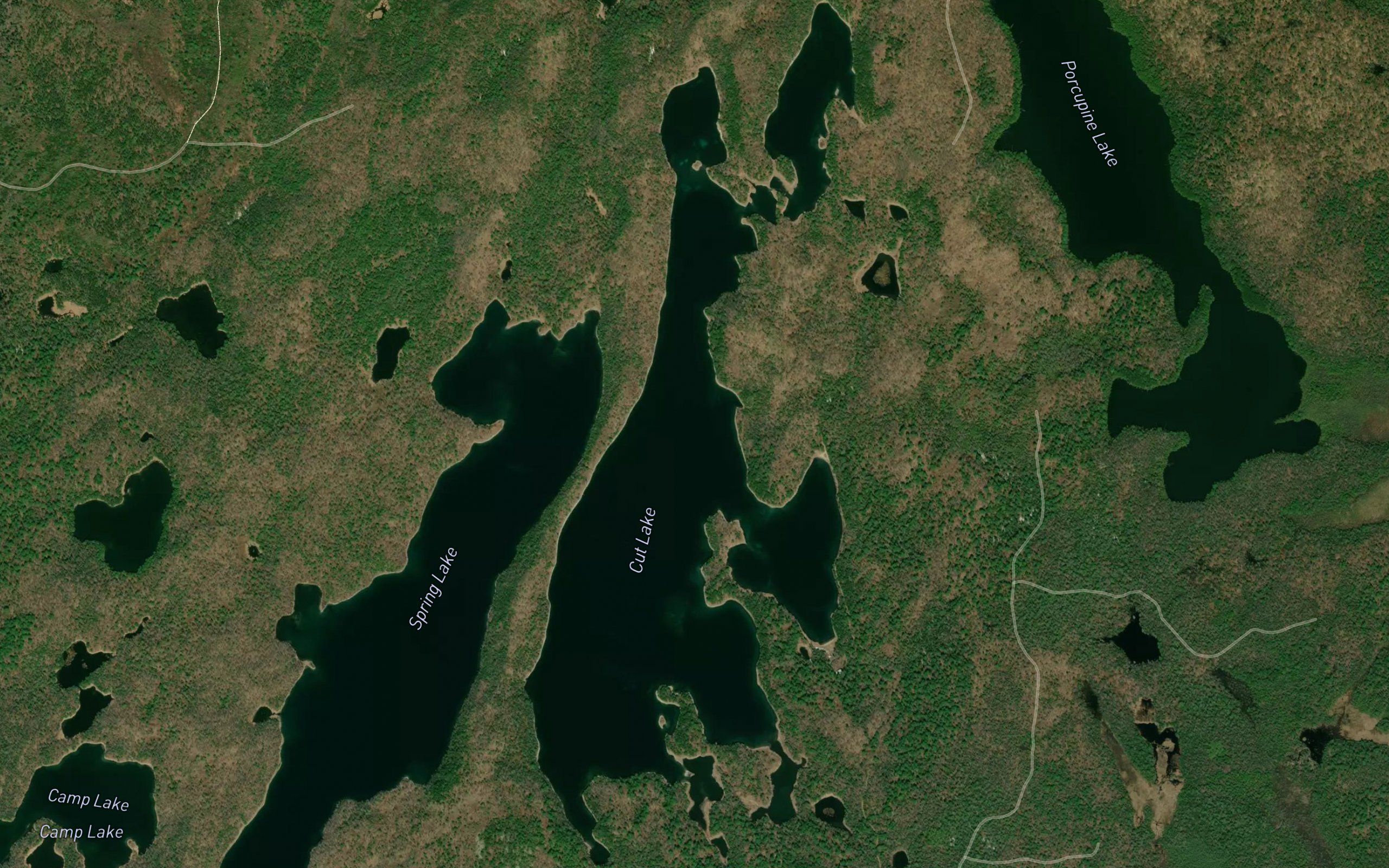 Cut Lake