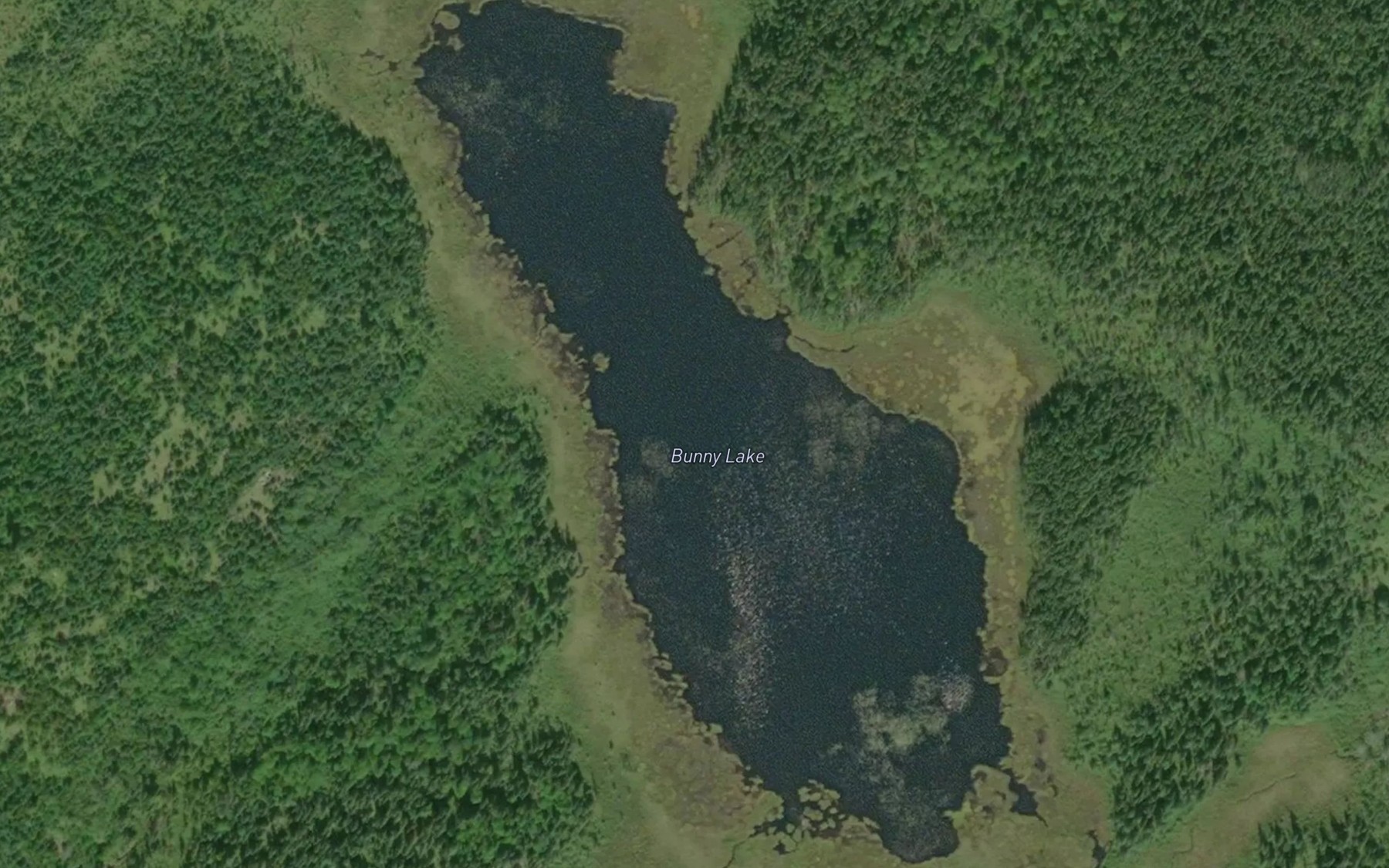 Satellite map of the Bunny Lake