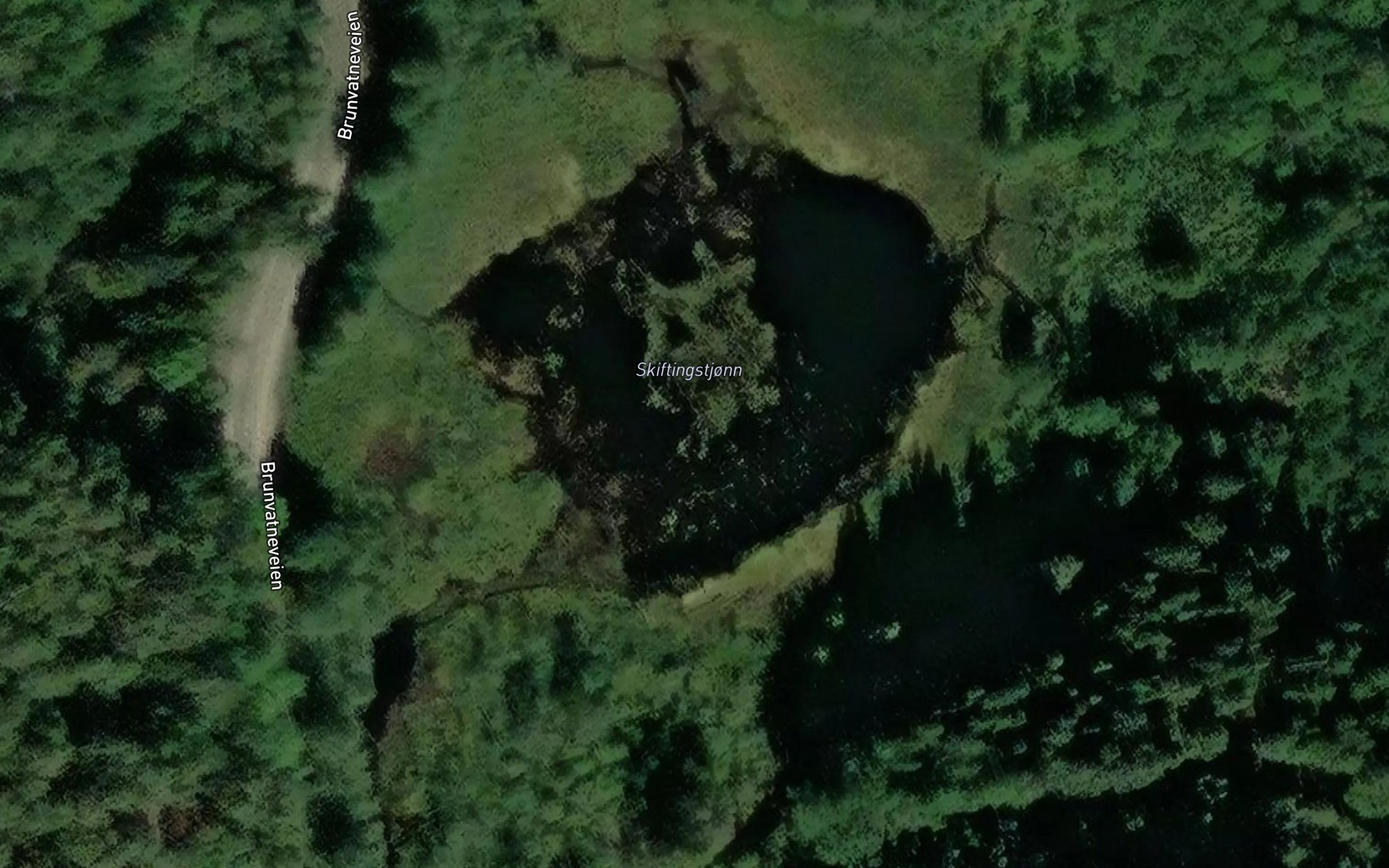 Satellite map of the Skiftingstjonn