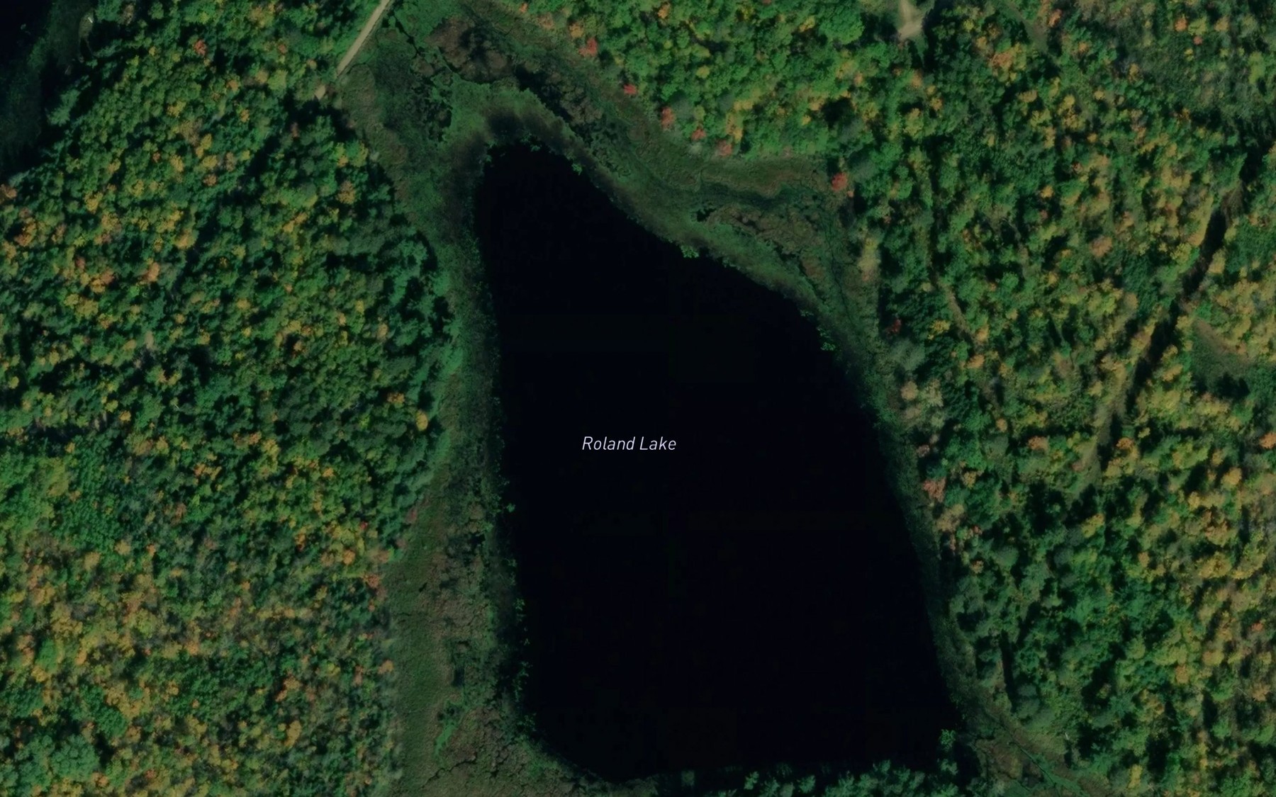 Satellite map of the Roland Lake