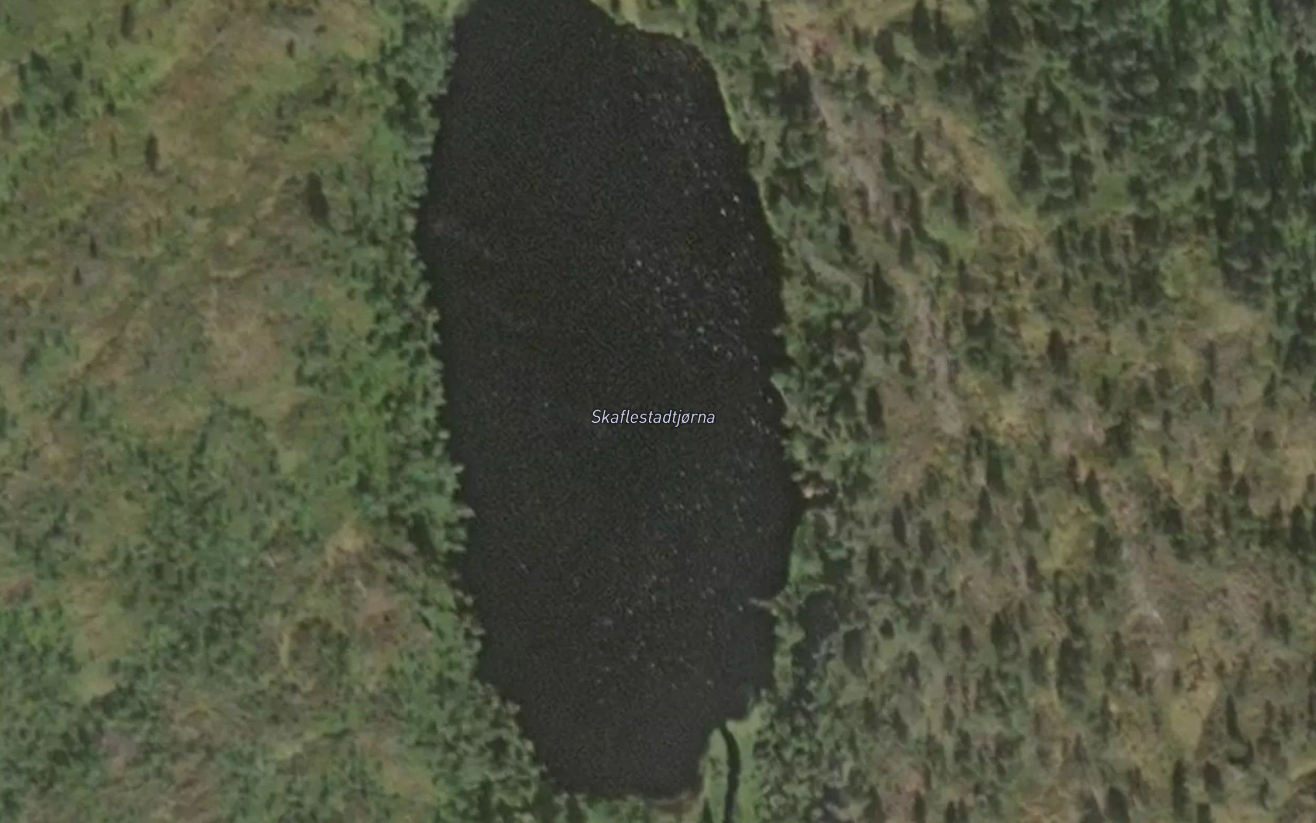 Skaflestadtjorna