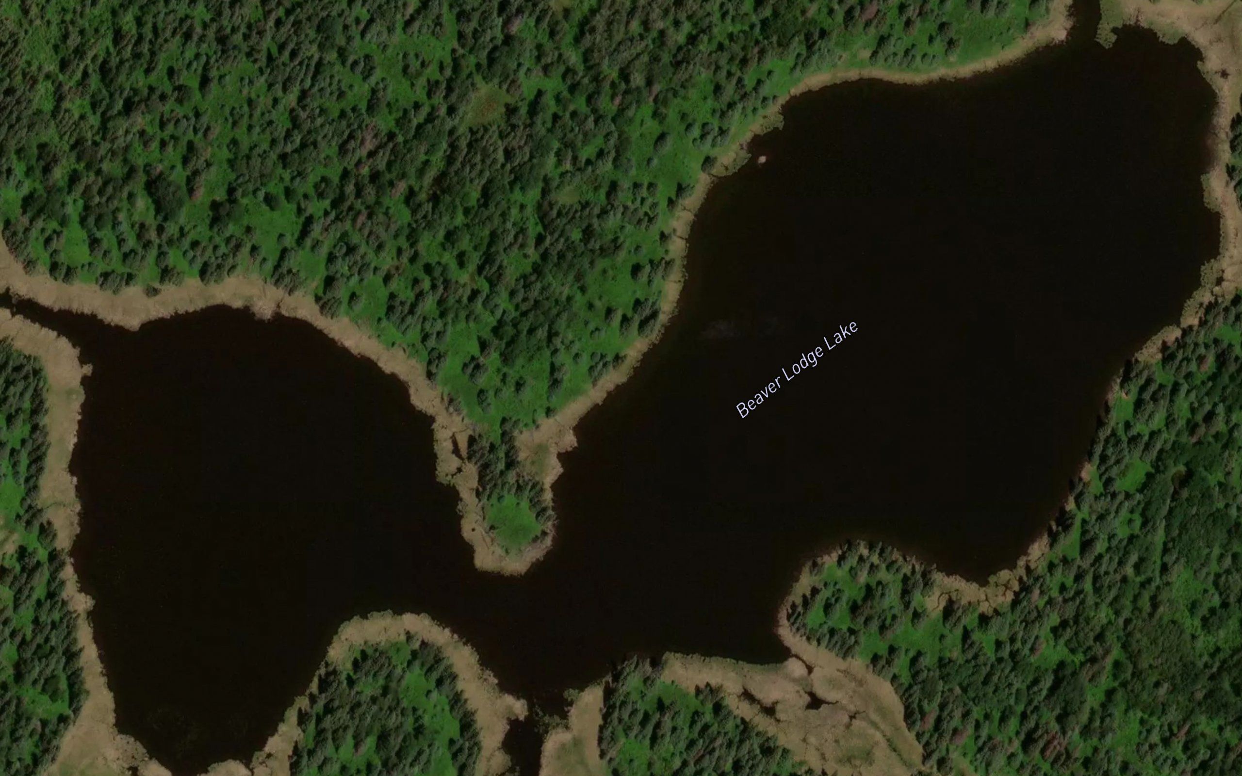 Beaver Lodge Lake