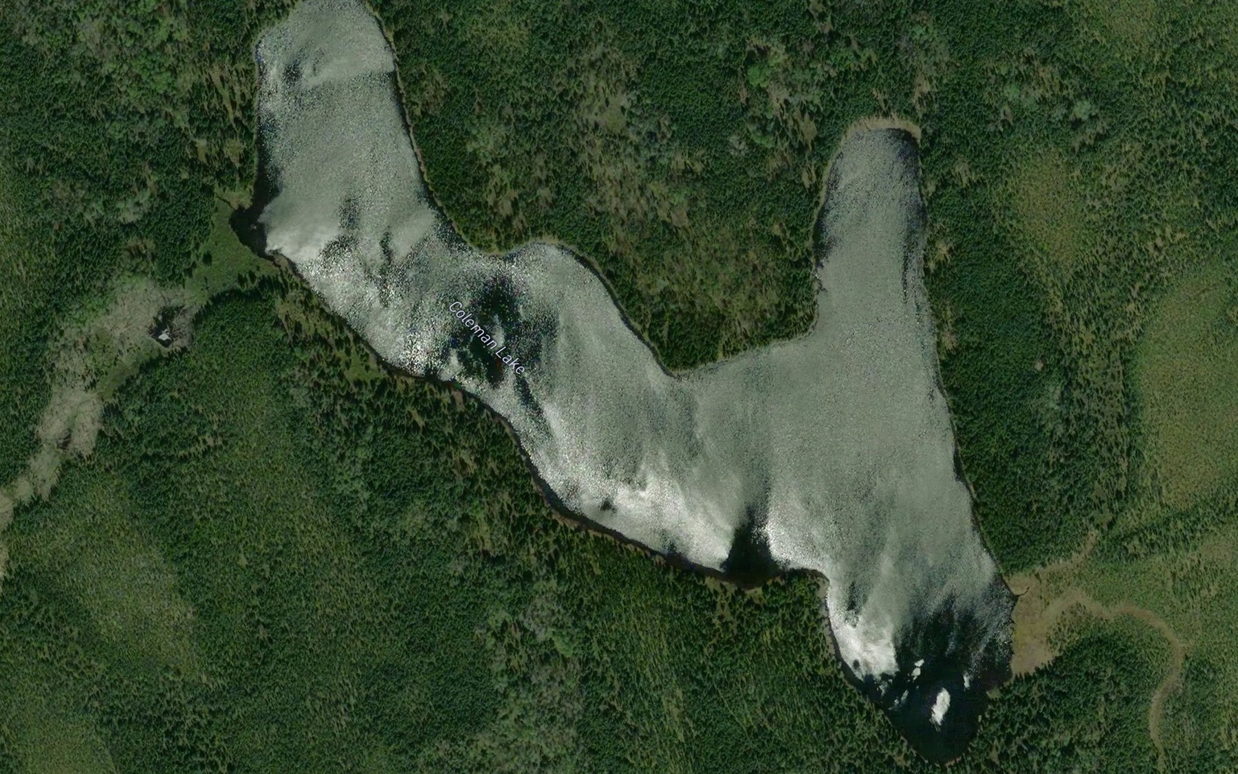 Satellite map of the Coleman Lake