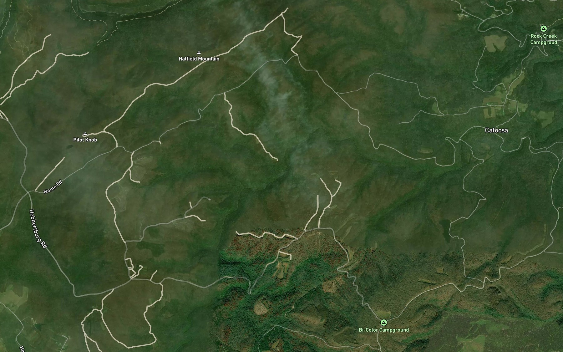 Satellite map of the Lick Branch