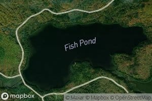 Fish Pond