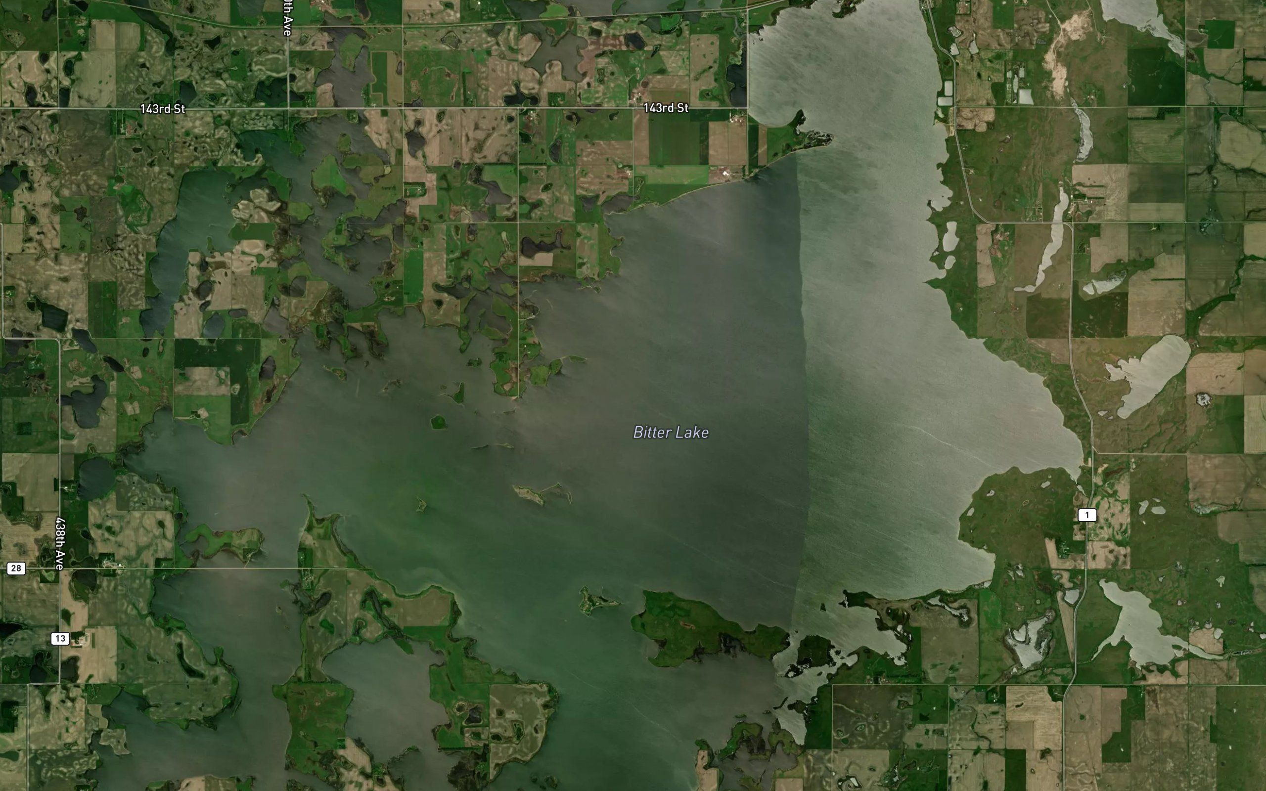Bitter Lake